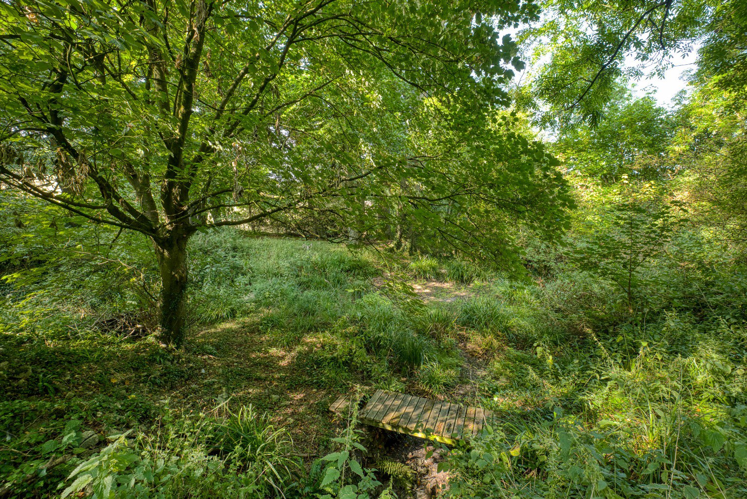 Manor house with 7 acres, near Wells, photo 33
