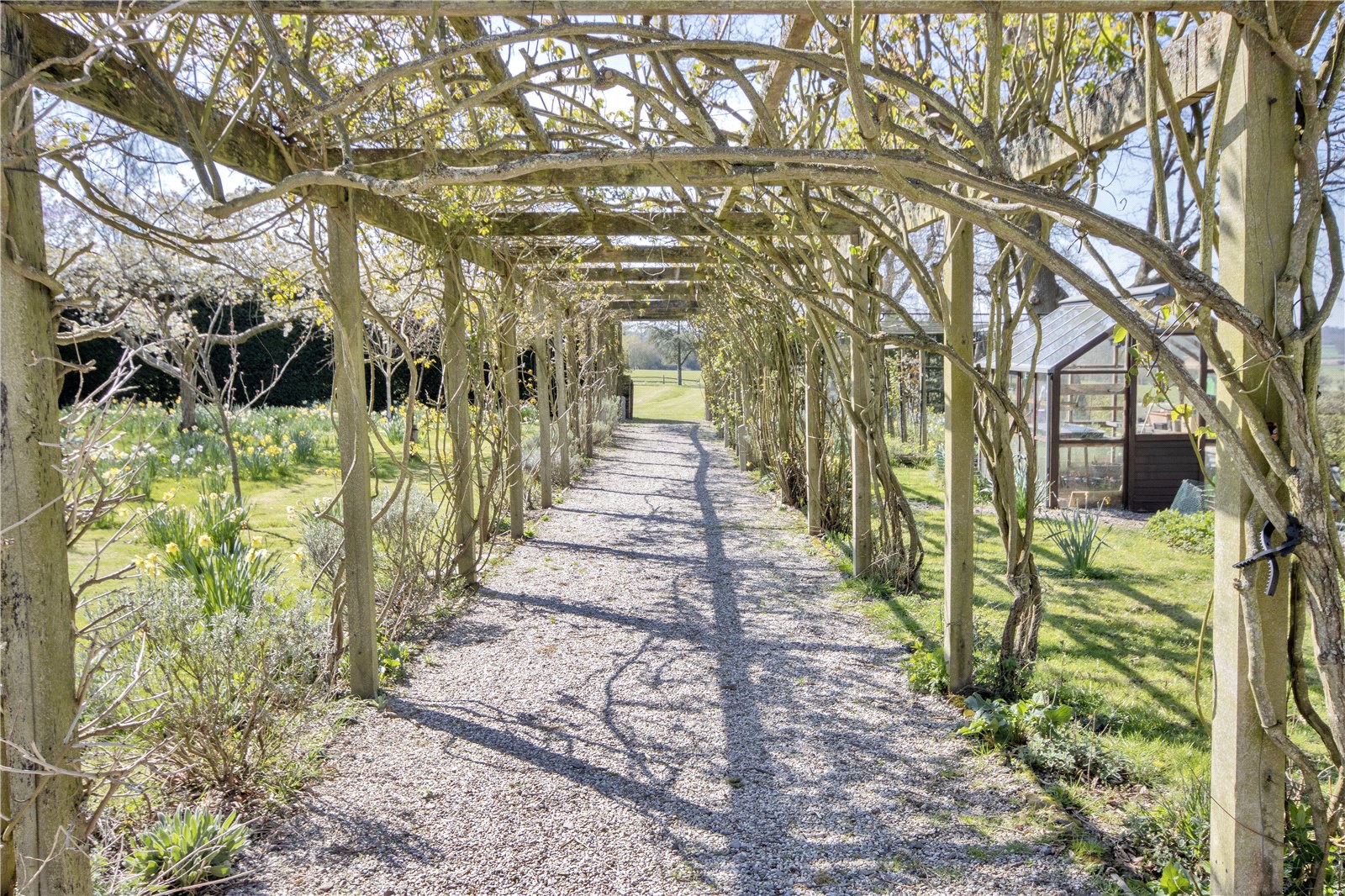 The Street, Wittersham, Kent, TN30, photo 9