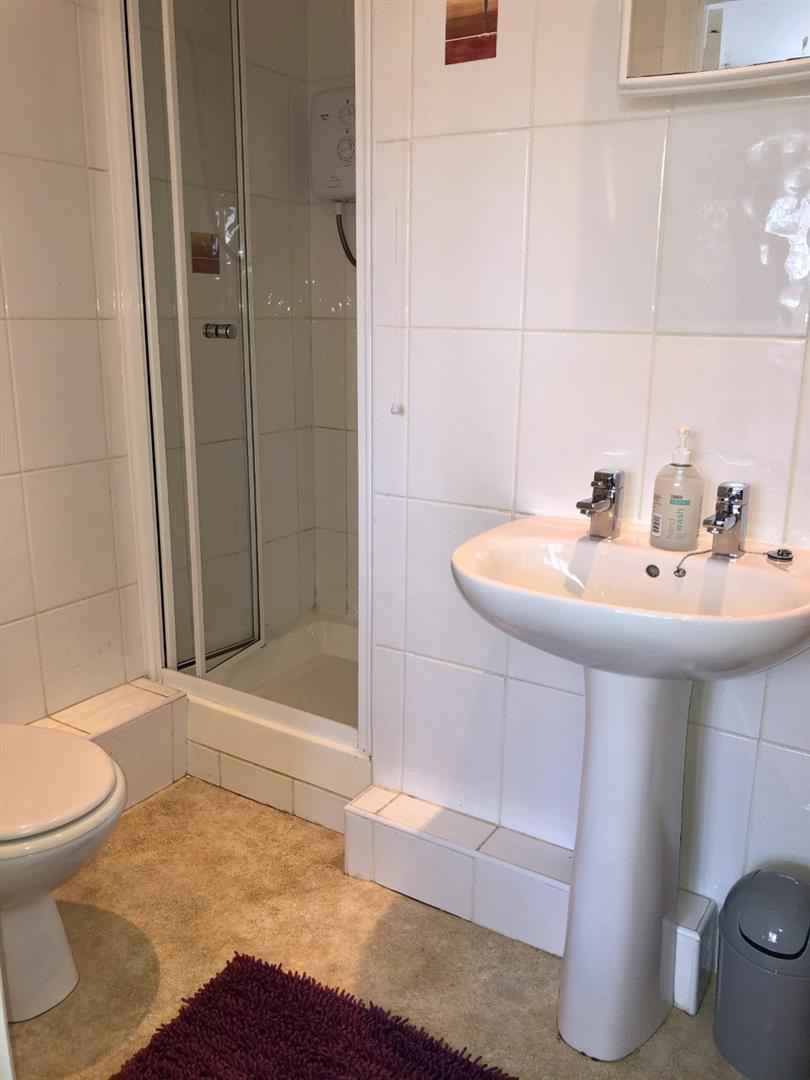 Carmarthen Road, Newcastle Emlyn, photo 21