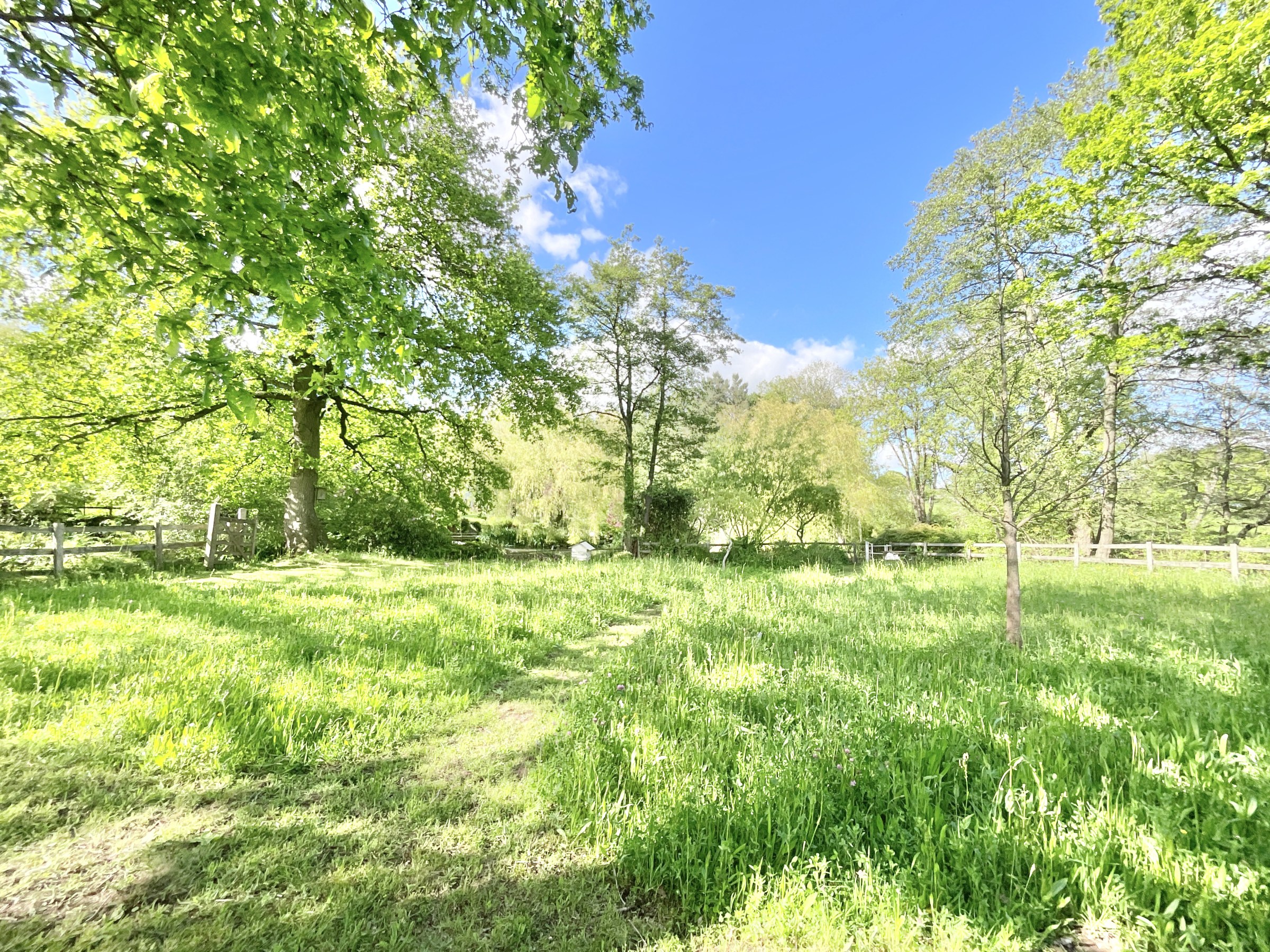 Lockley Wood, Market Drayton, TF9, photo 46