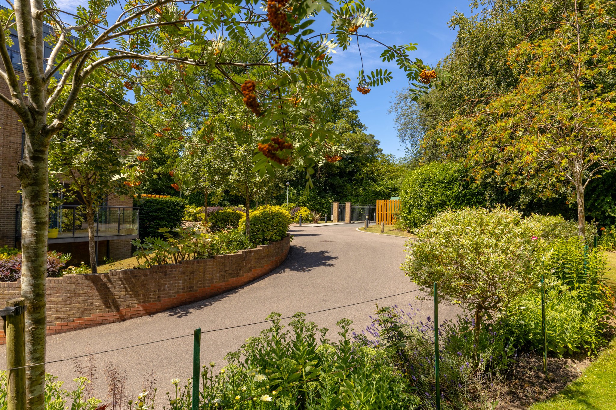 Pembury Road, Tunbridge Wells, TN2, photo 13
