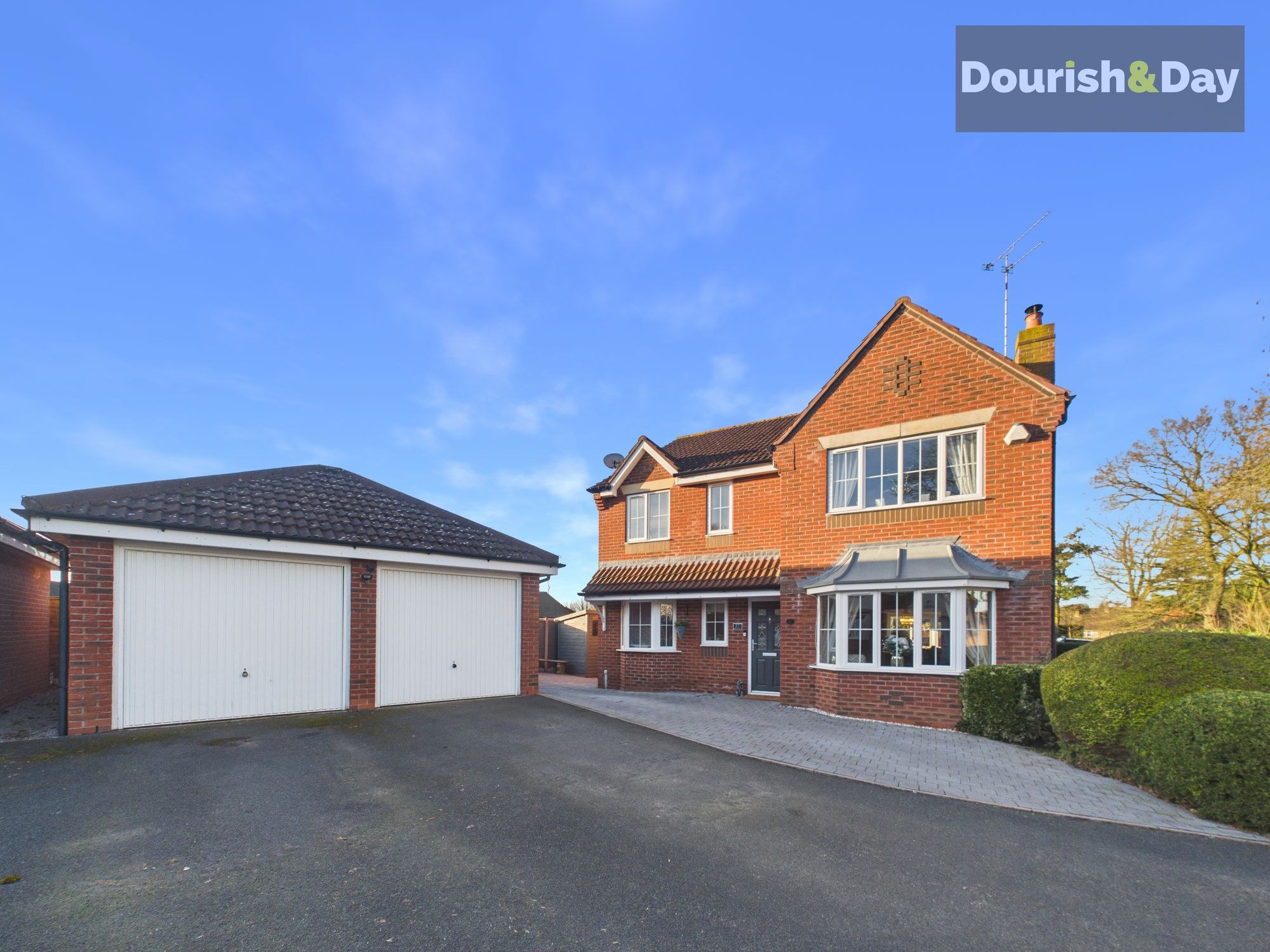 Chestnut Drive