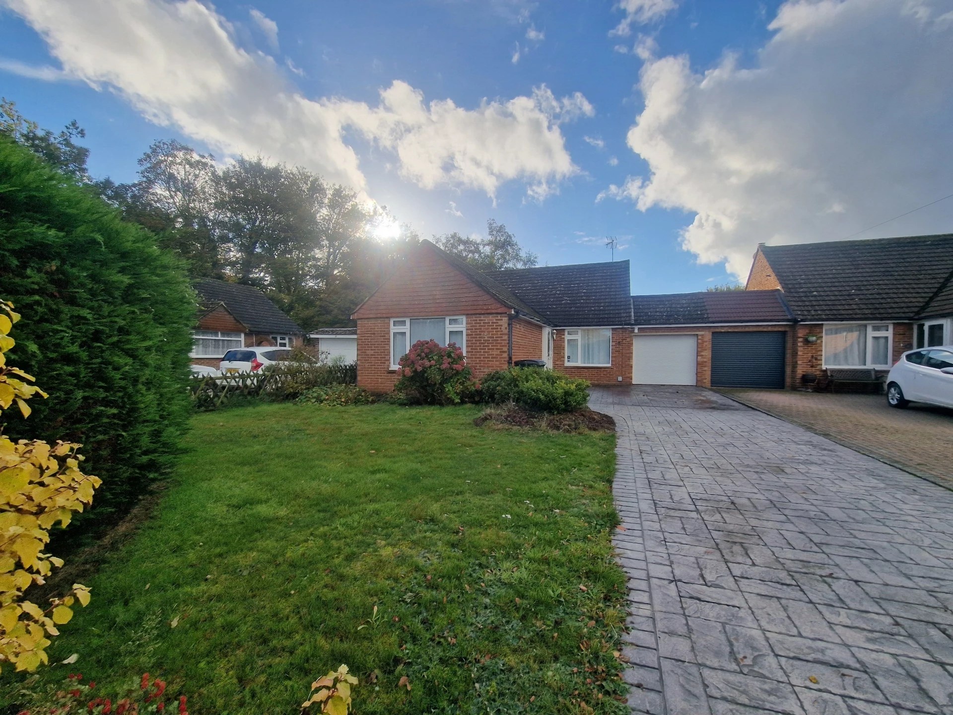 Chestnut Drive