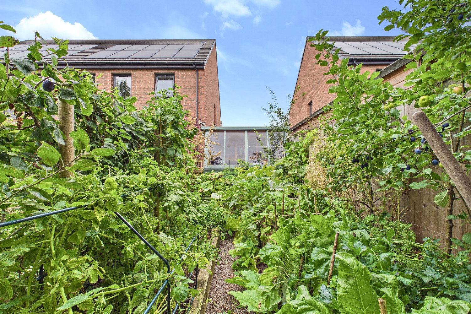 Rosemary Road, York, Yorkshire, YO24 3FN, photo 20
