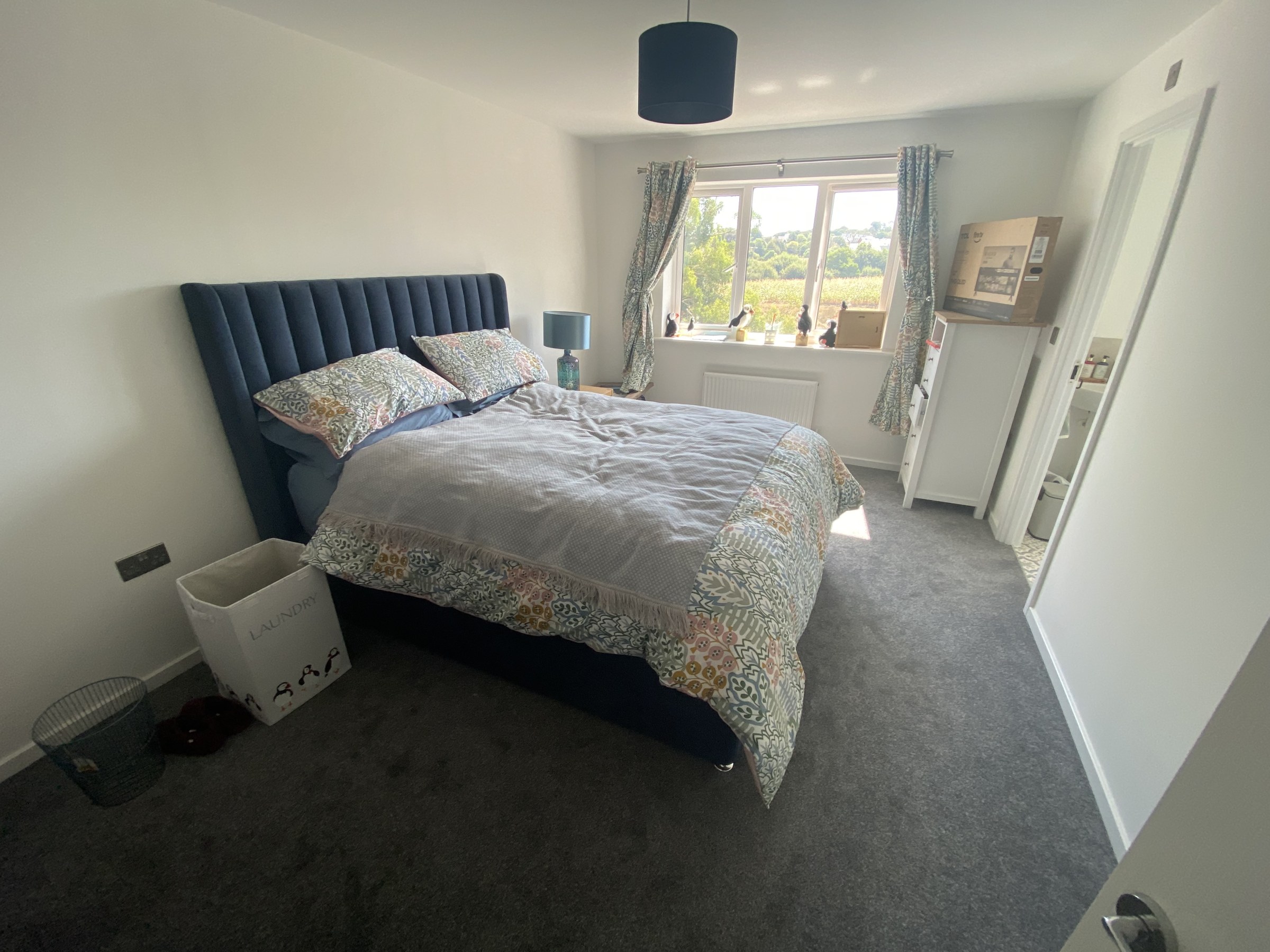 Scoter Court, Dawlish, EX7, photo 8