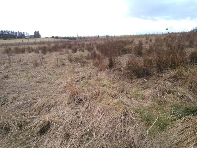 Plot Of Land