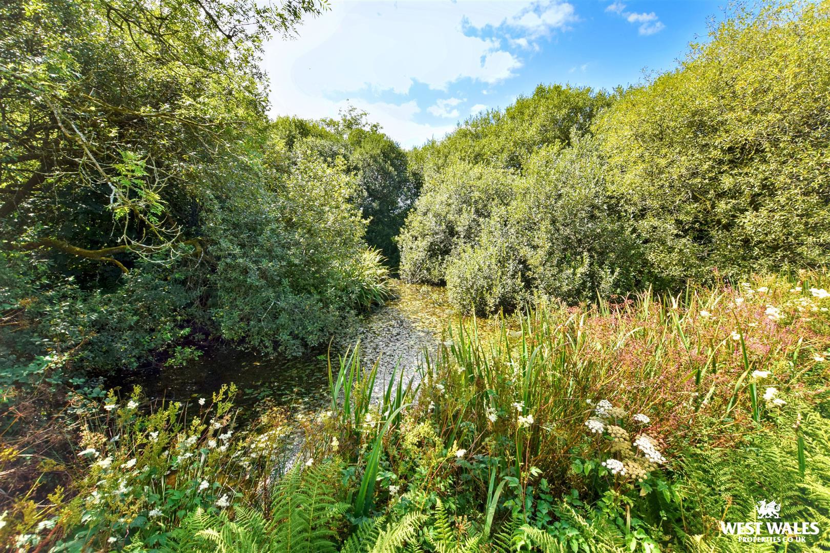 Gwaun Valley, Fishguard, photo 26