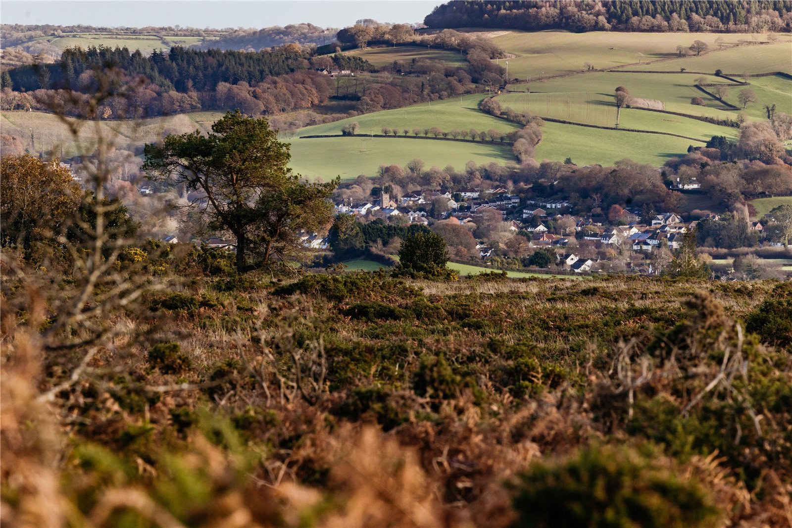 Waterleat Gardens, Newton Poppleford, Sidmouth, Devon, EX10, photo 8