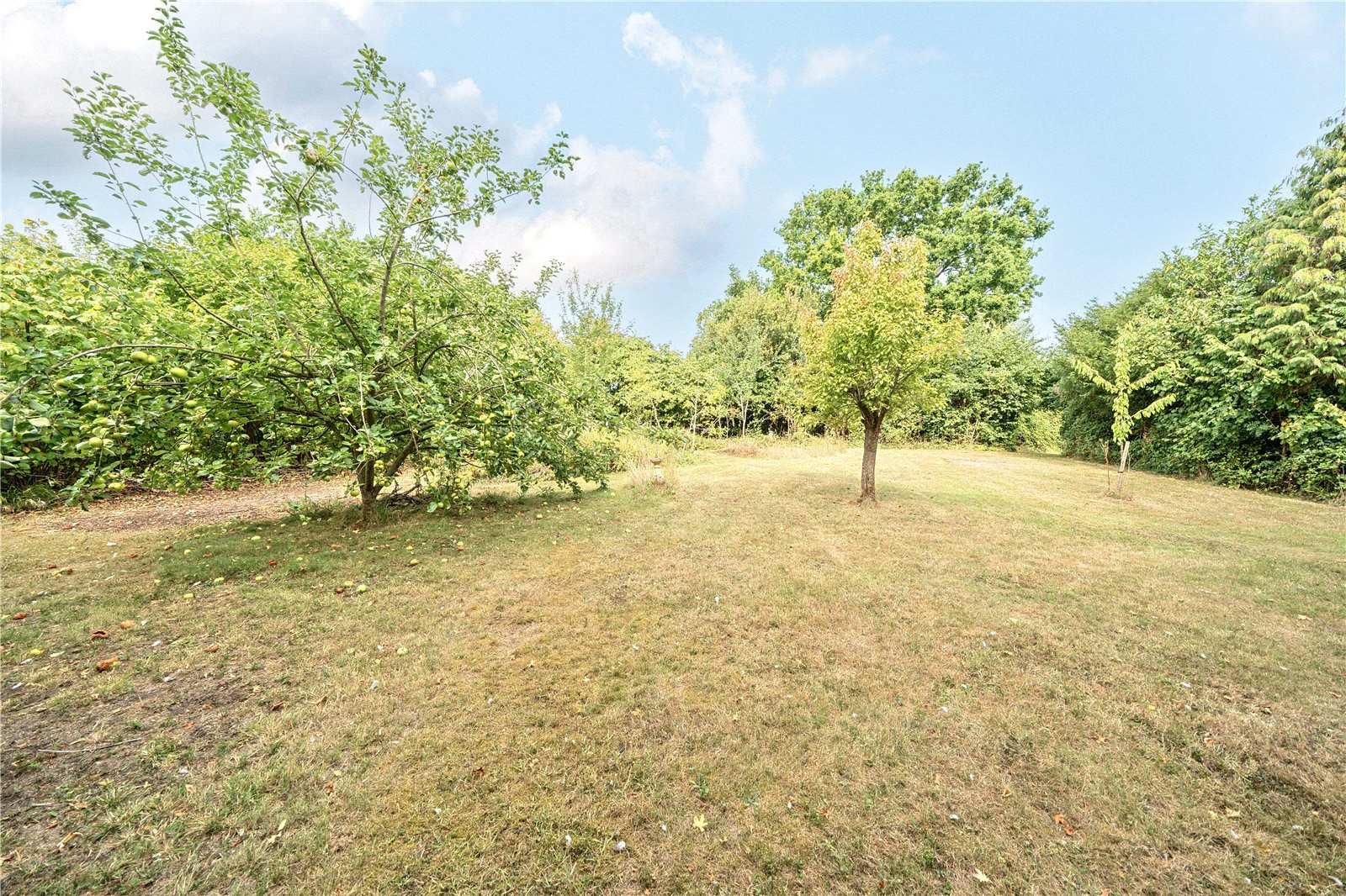 Cutlers Lane, Shelland, Stowmarket, Suffolk, IP14, photo 24