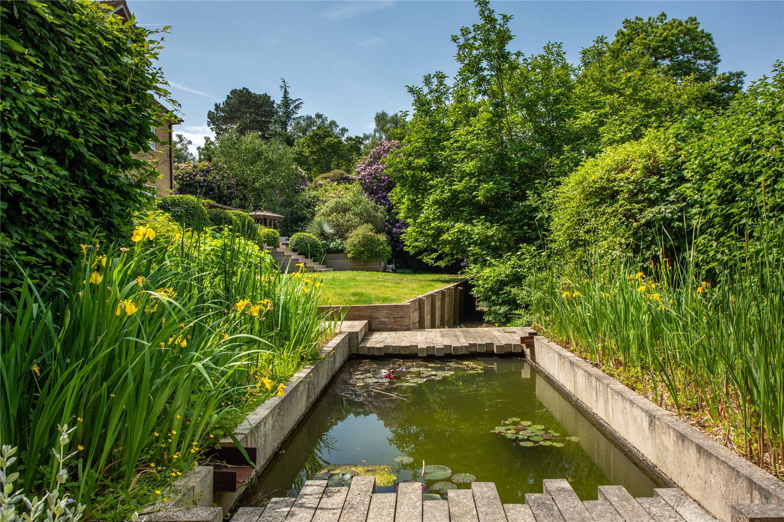 Deepdene Wood, Dorking, Surrey, RH5, photo 7