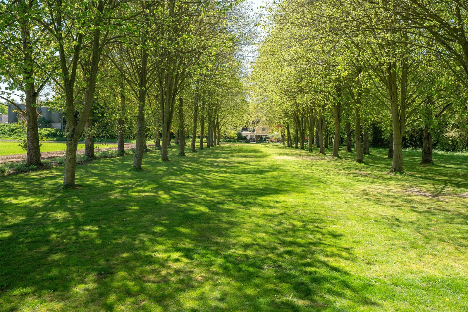 Washbrook, Ipswich, Suffolk, IP8, photo 2