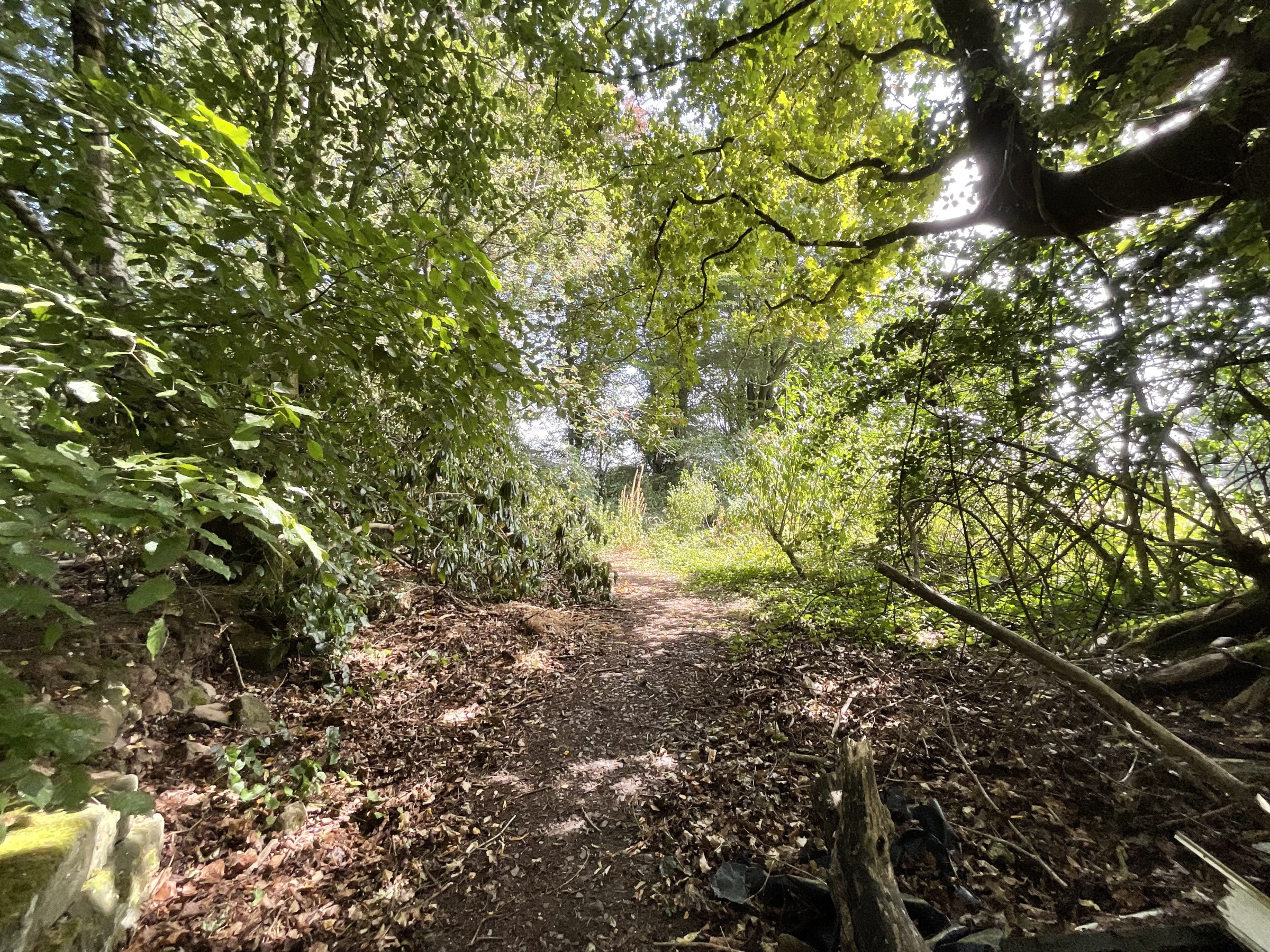 Nightingale Walk, Blythe Bridge, ST11, photo 46