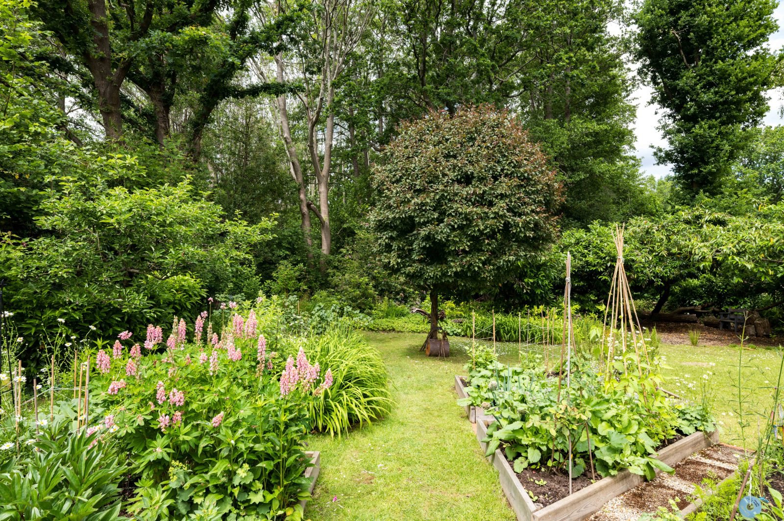 William Allen Lane, Lindfield, RH16, photo 13