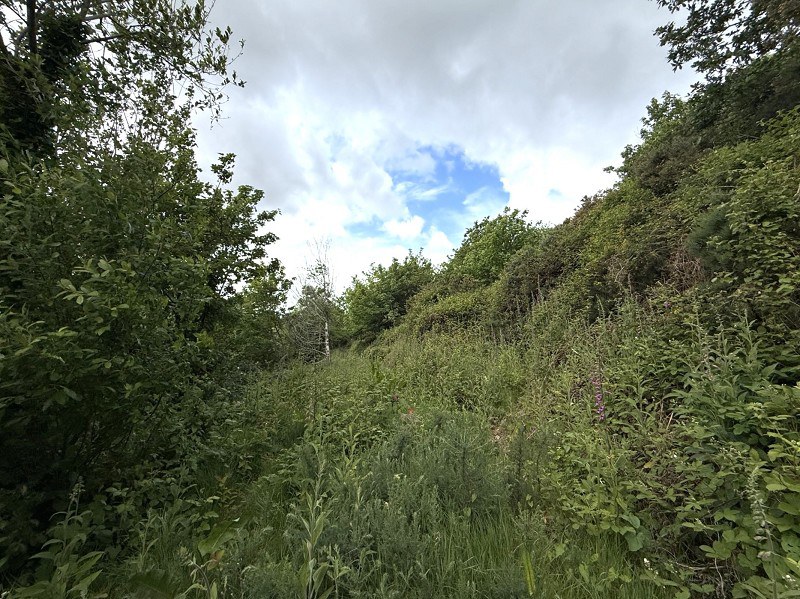 Fernfield, Baglan, Port Talbot, Neath Port Talbot., photo 21