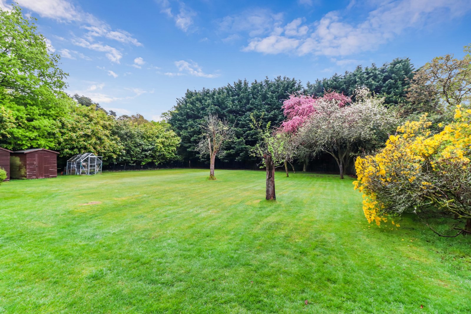 Collinswood Road, Farnham Common, Buckinghamshire, SL2, photo 5