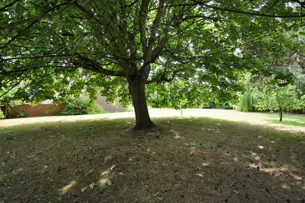 Lindenfels, 9 Grimsby Road, Louth LN11 0ED, photo 24