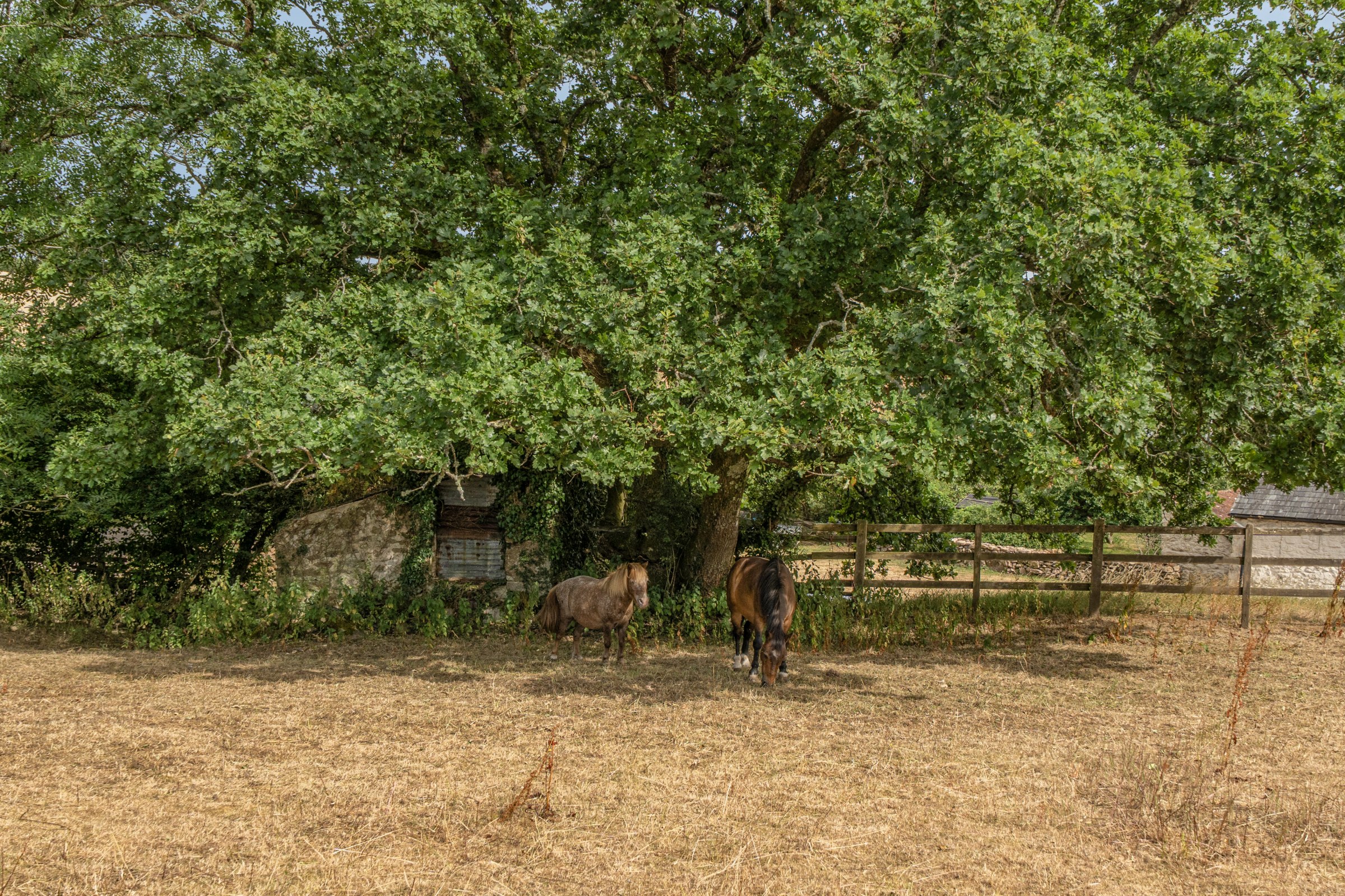 Bovey Tracey, Newton Abbot, TQ13, photo 33