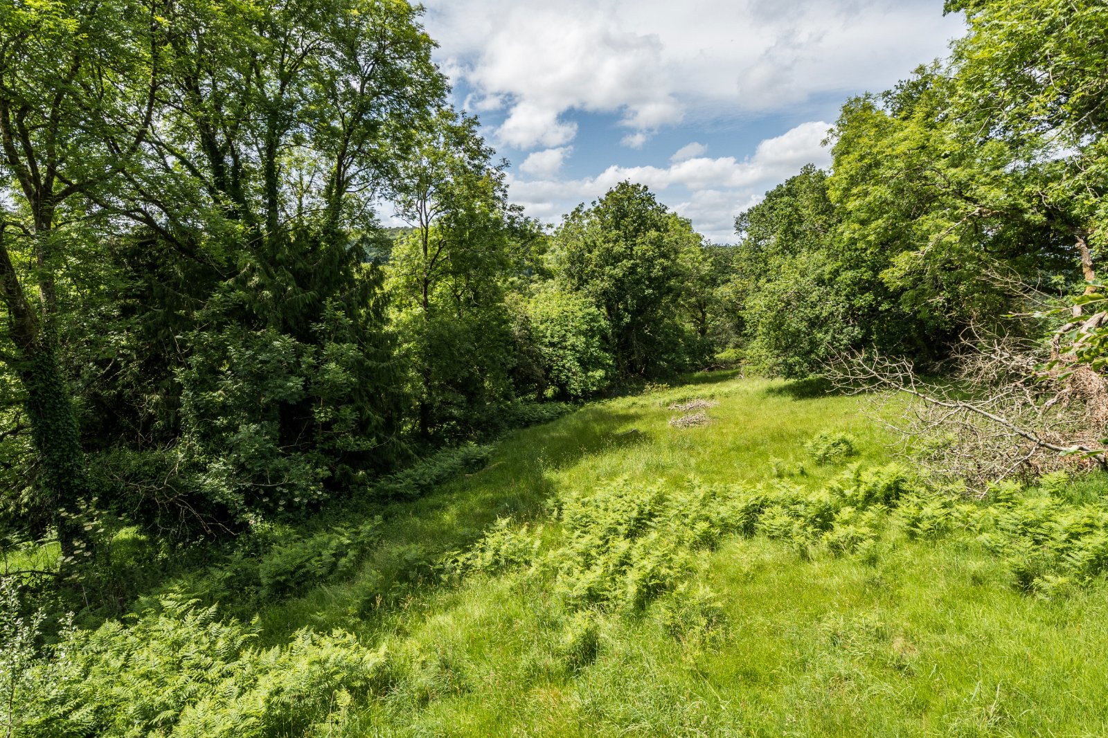 Doccombe, Moretonhampstead, Dartmoor, Devon, TQ13, photo 8