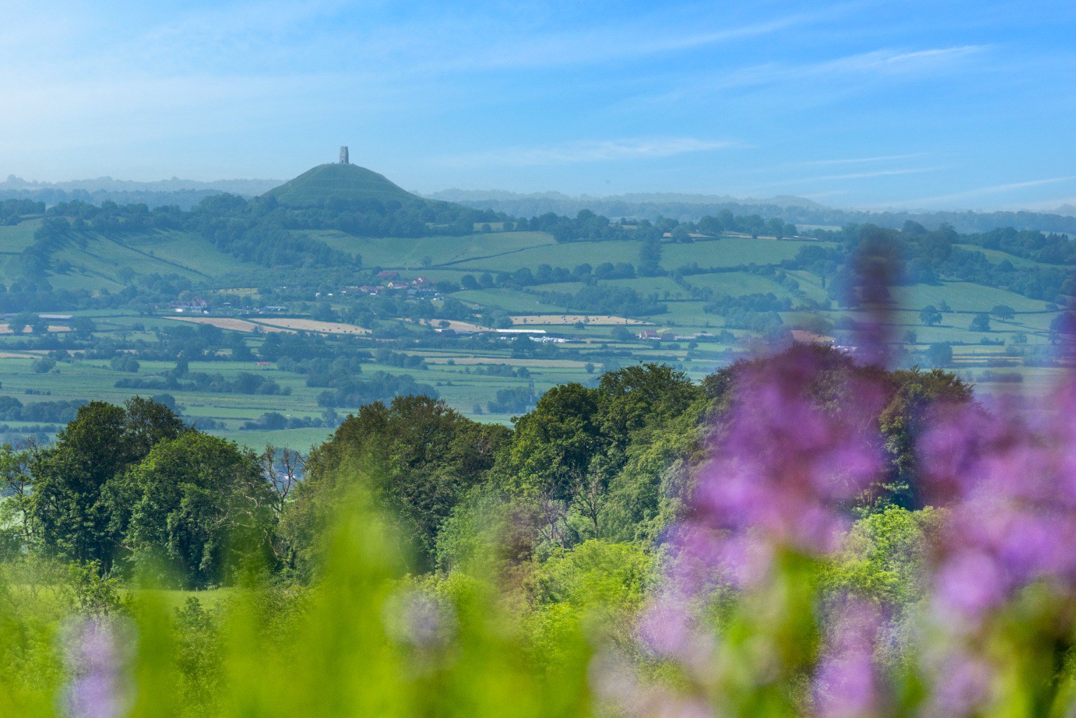 West Horrington, Wells, Somerset, photo 4