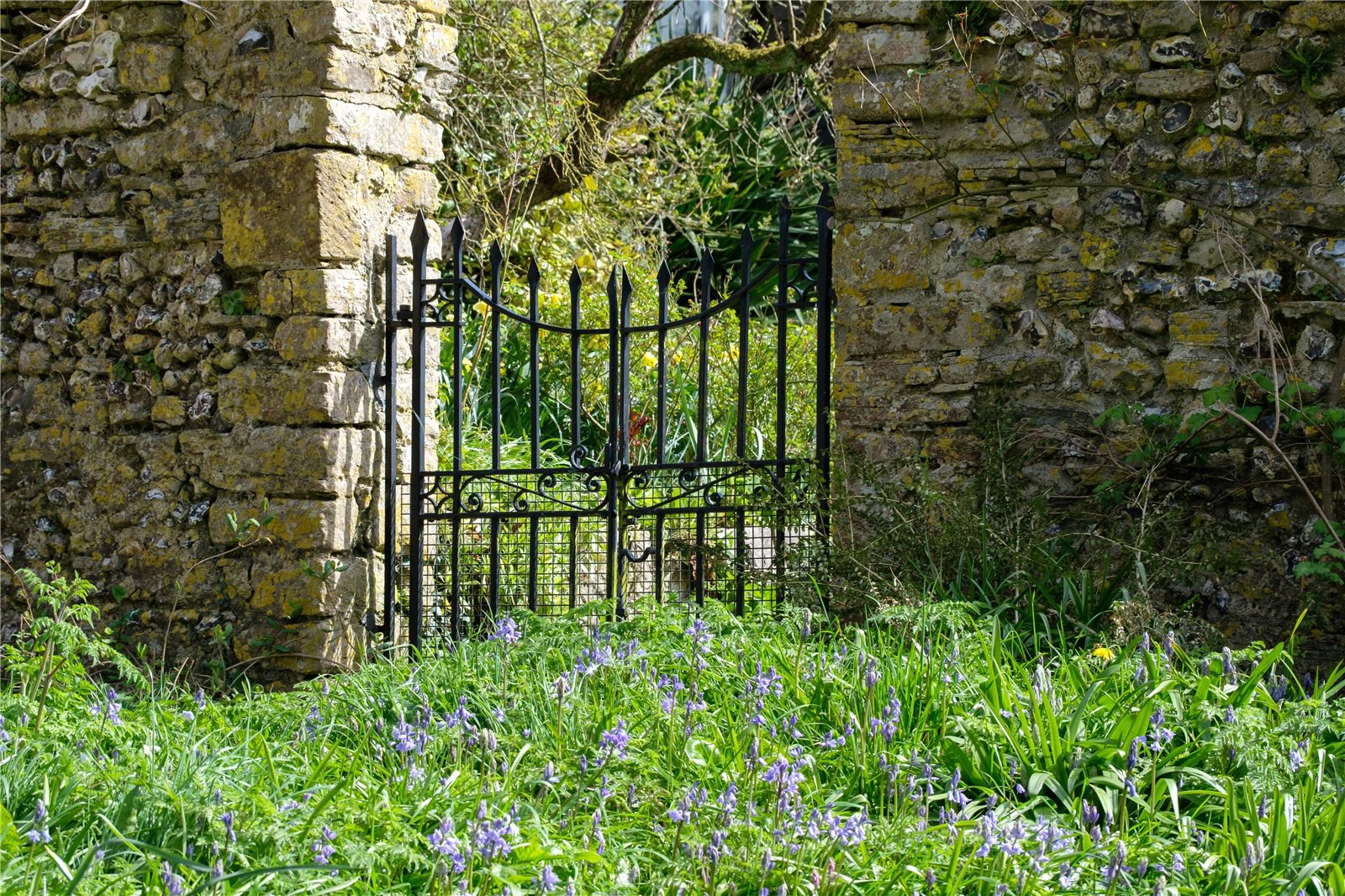 Rew, Martinstown, Dorchester, Dorset, DT2, photo 45