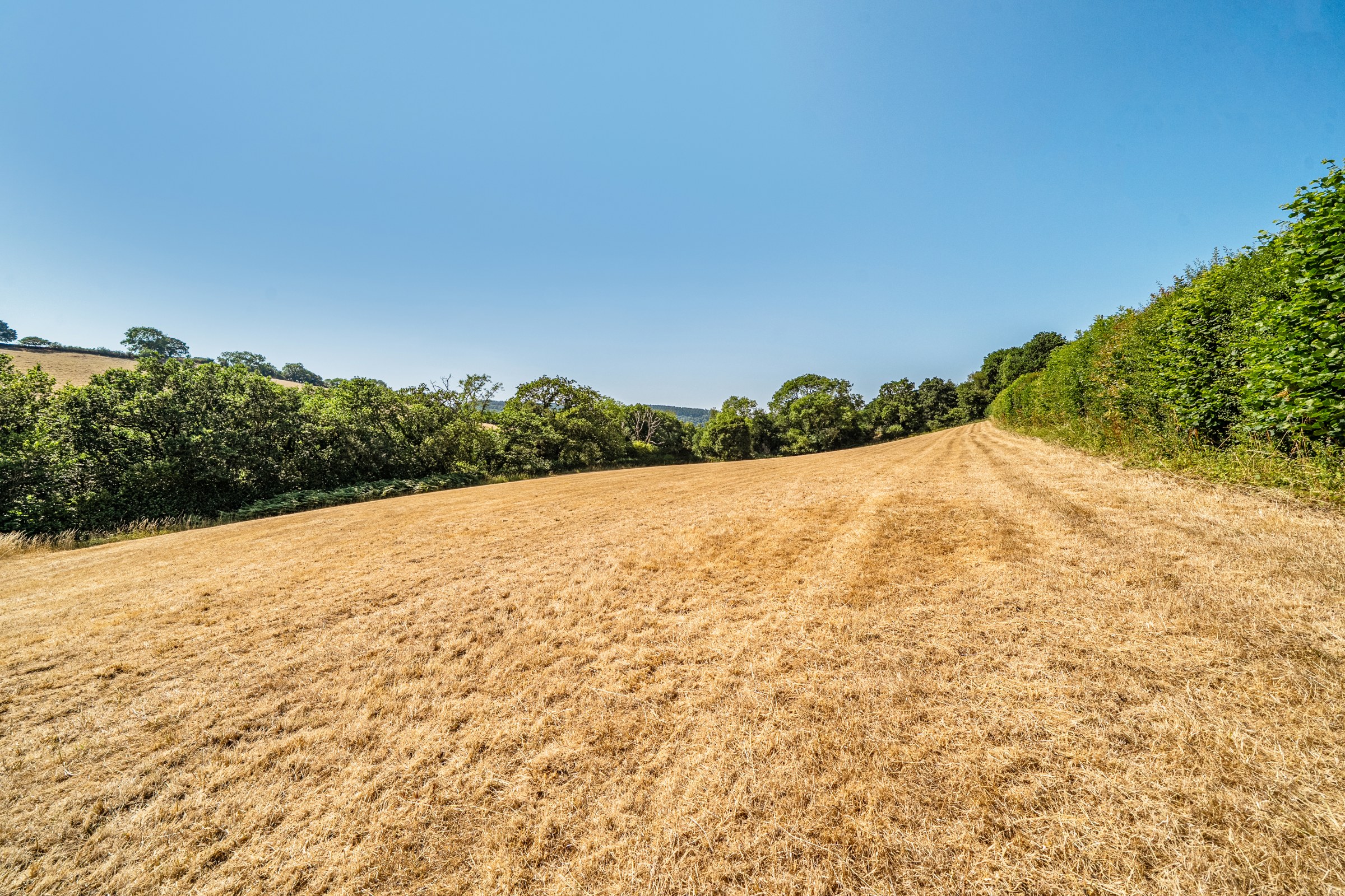 Trusham, Newton Abbot, TQ13, photo 23