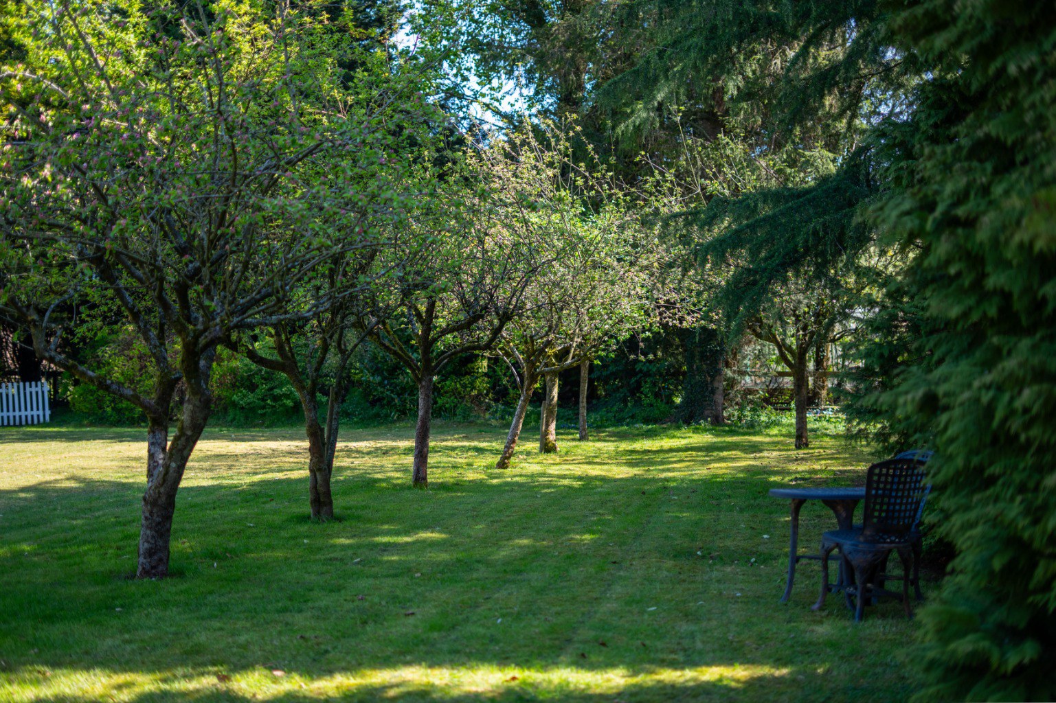 Manor Lodge, Holmes Chapel Road, Chelford, photo 44