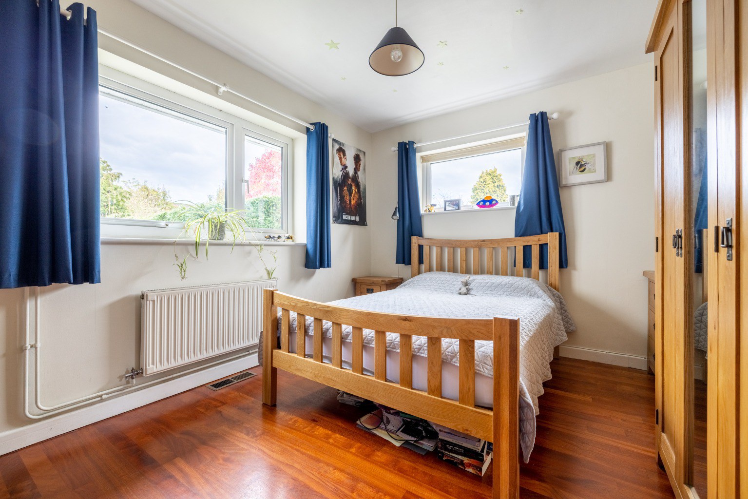 West Park, Butleigh, Glastonbury, Somerset, BA6, photo 12