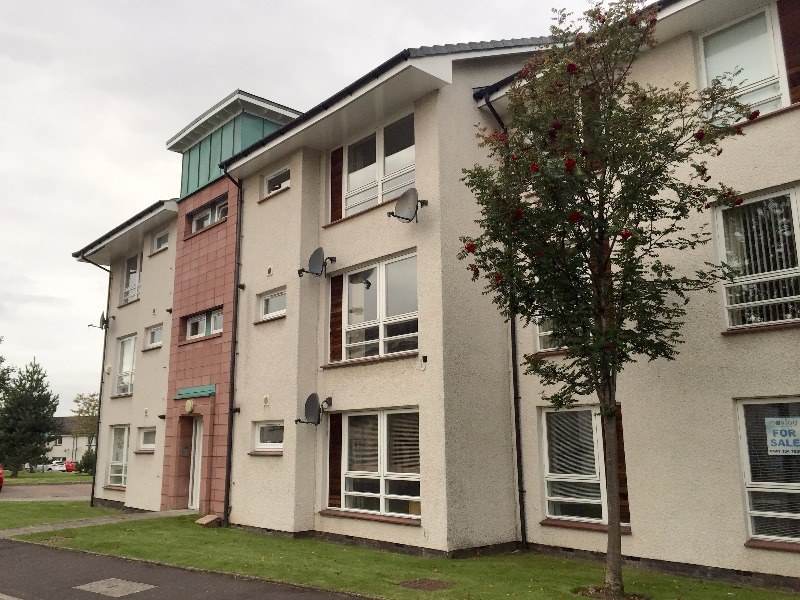 Netherton Avenue