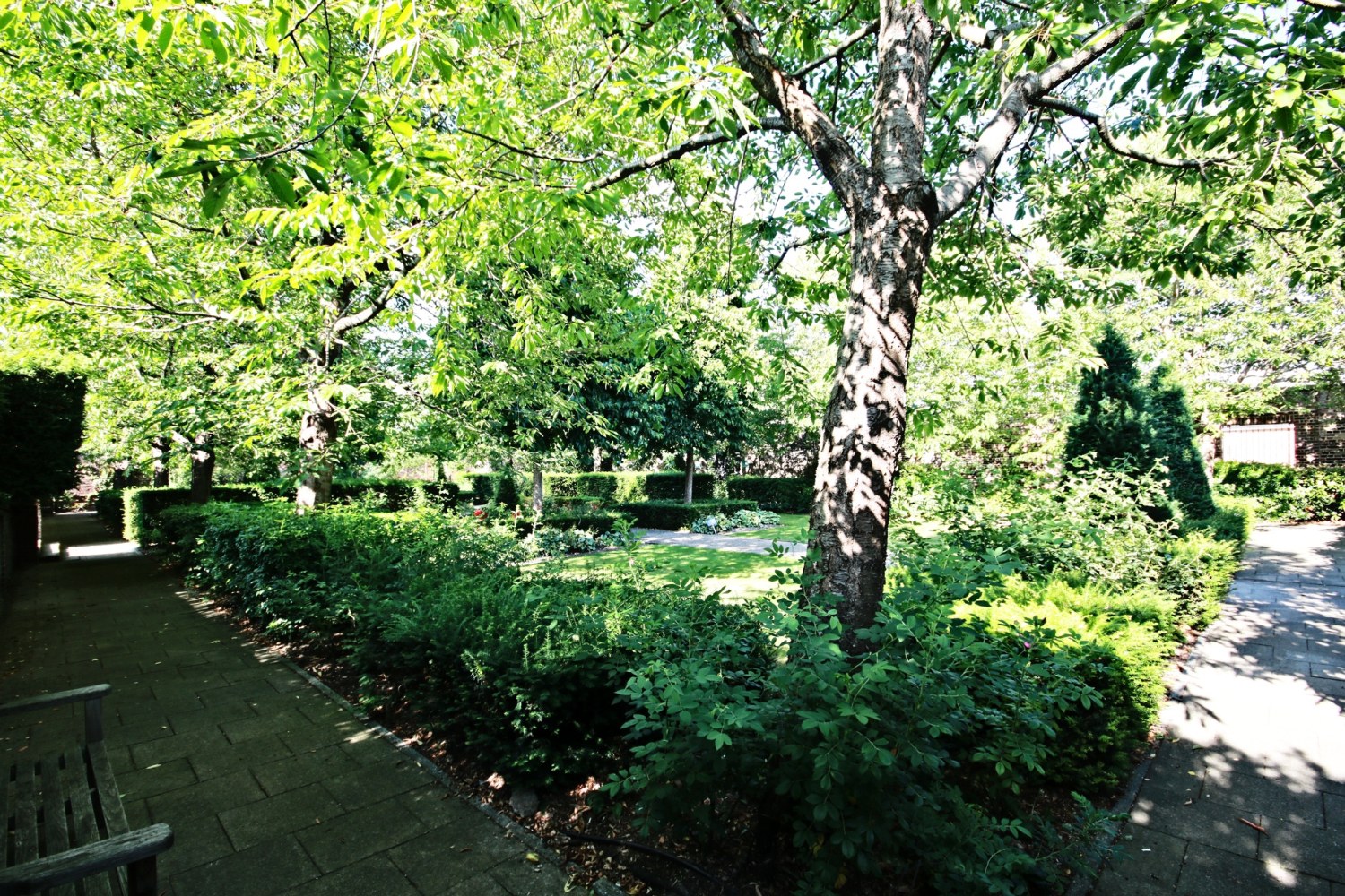 Photo 31