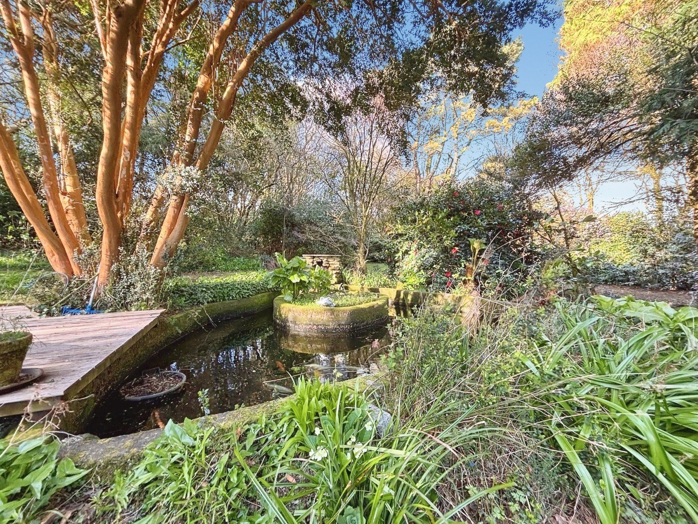 Carnkie, Charming, spacious cottage in peaceful location, photo 27