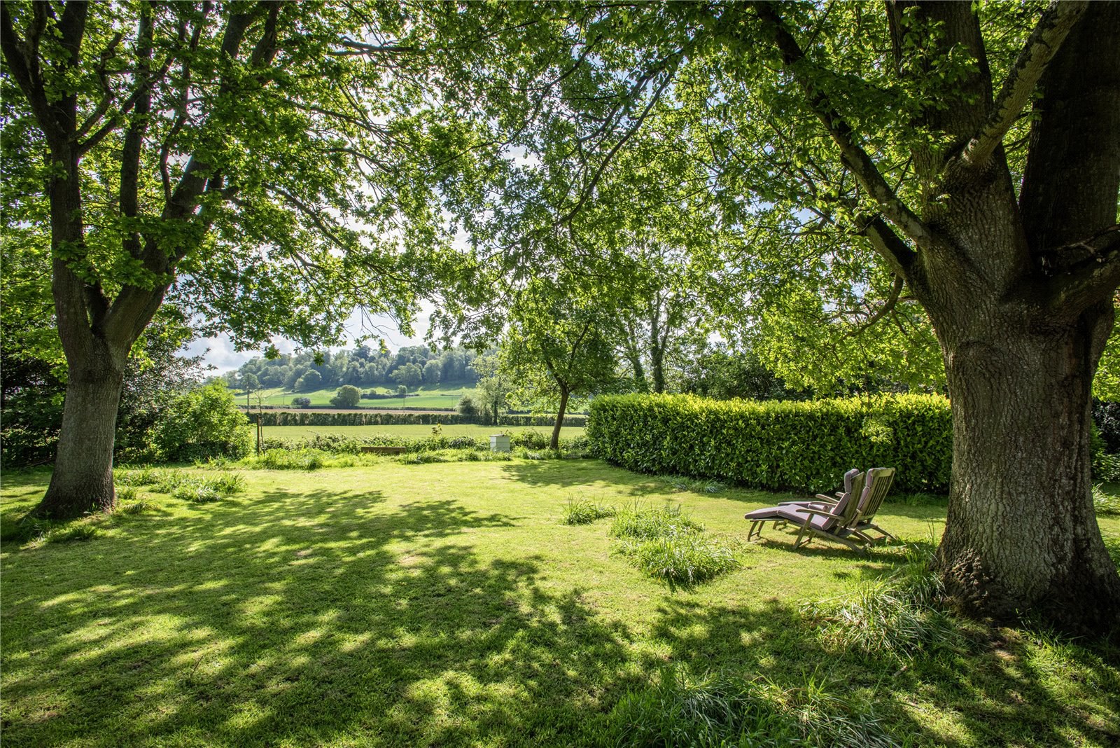 Little Weston, Somerset, BA22, photo 21