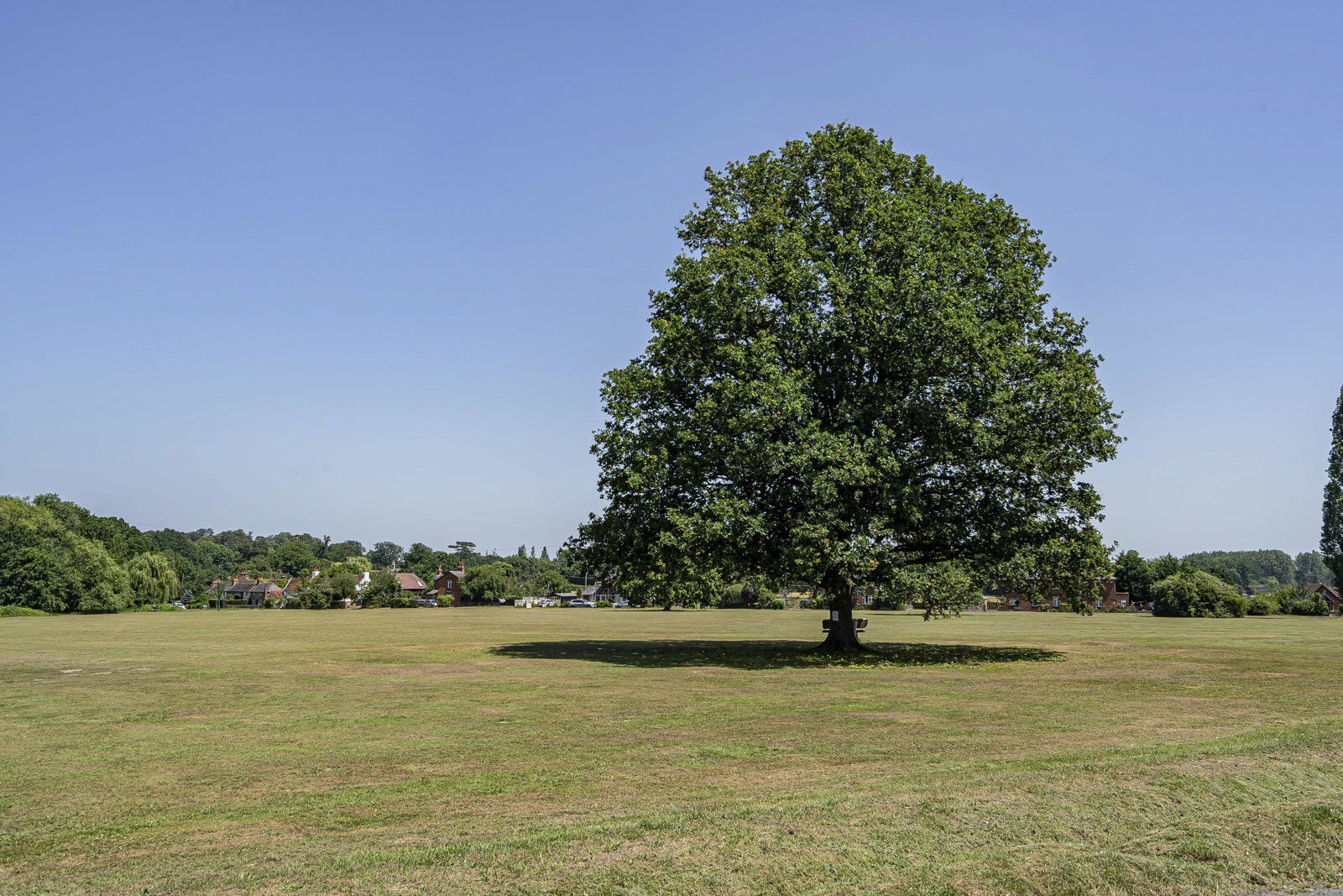 Downsview Close, Downside, Cobham, Surrey, KT11, photo 21
