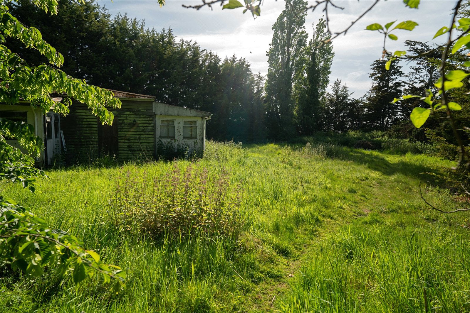 Westerfield, Ipswich, Suffolk, IP6, photo 14