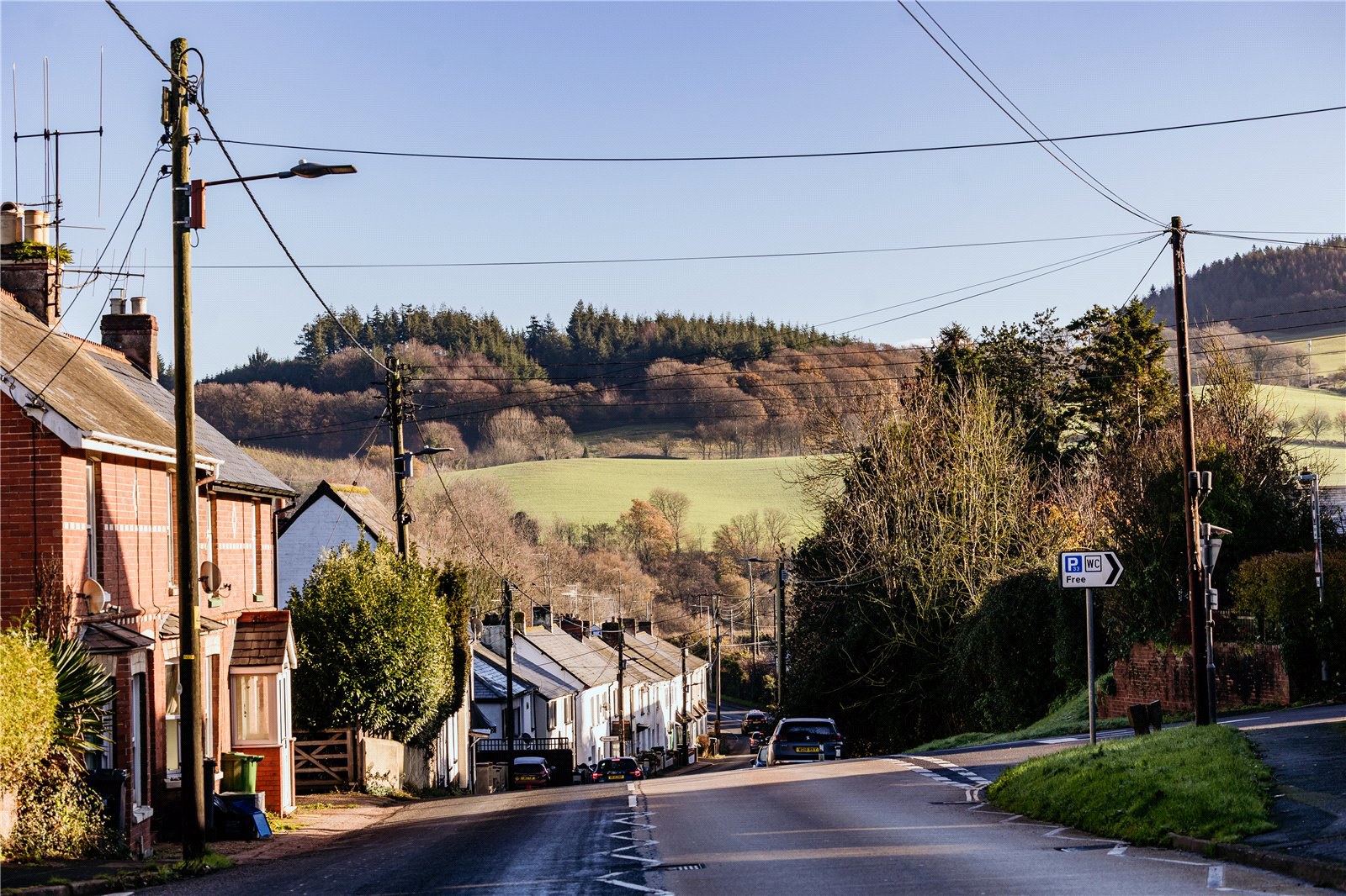 Waterleat Gardens, Newton Poppleford, Sidmouth, Devon, EX10, photo 11