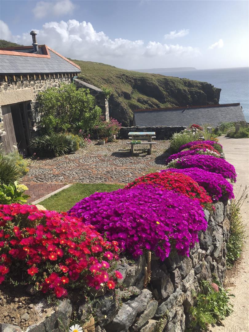 Church Cove | Lizard Peninsula, photo 43