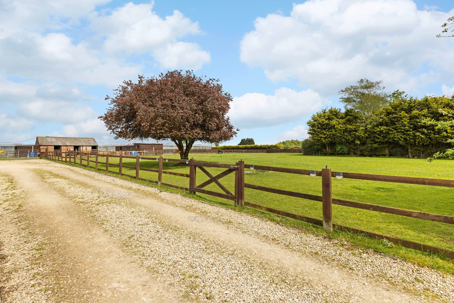 West Bank, Carlton, Goole, Yorkshire, DN14, photo 10