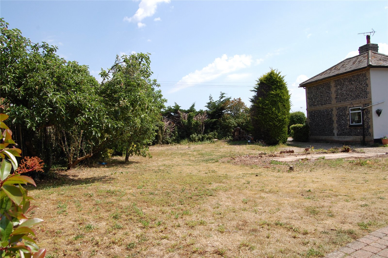 Photo 25