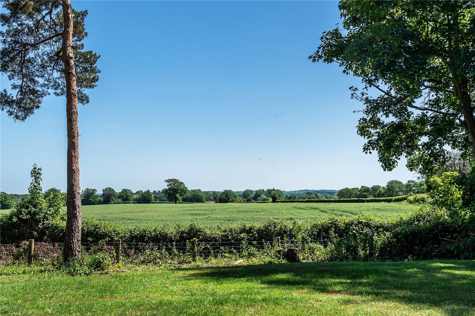 Flanchford Road, Reigate, Surrey, RH2, photo 17