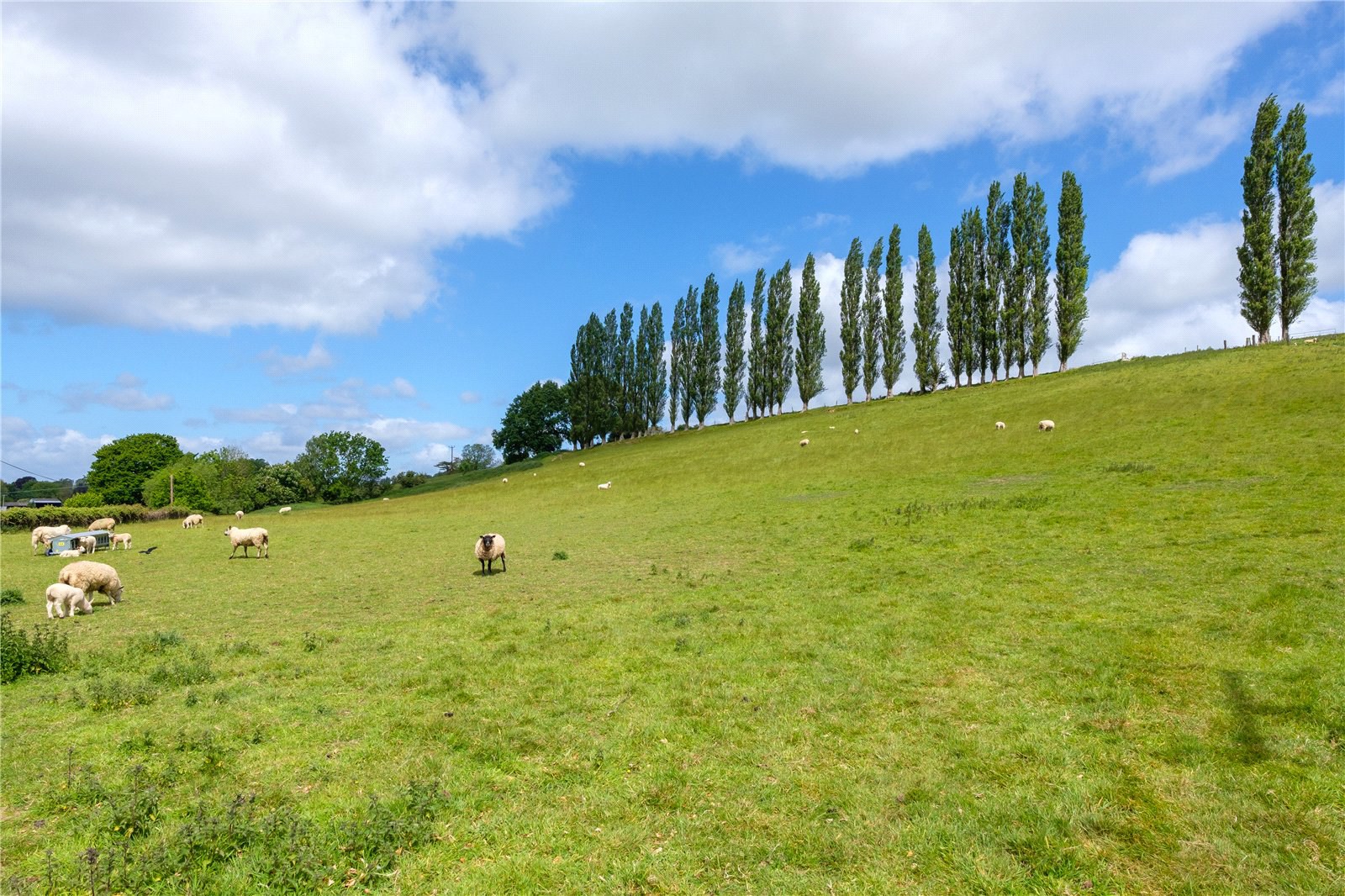 Mill Lane, Dowlish Wake, Ilminster, Somerset, TA19, photo 51