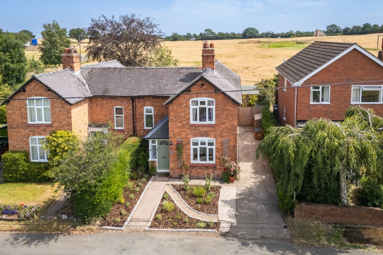 Ash Magna
