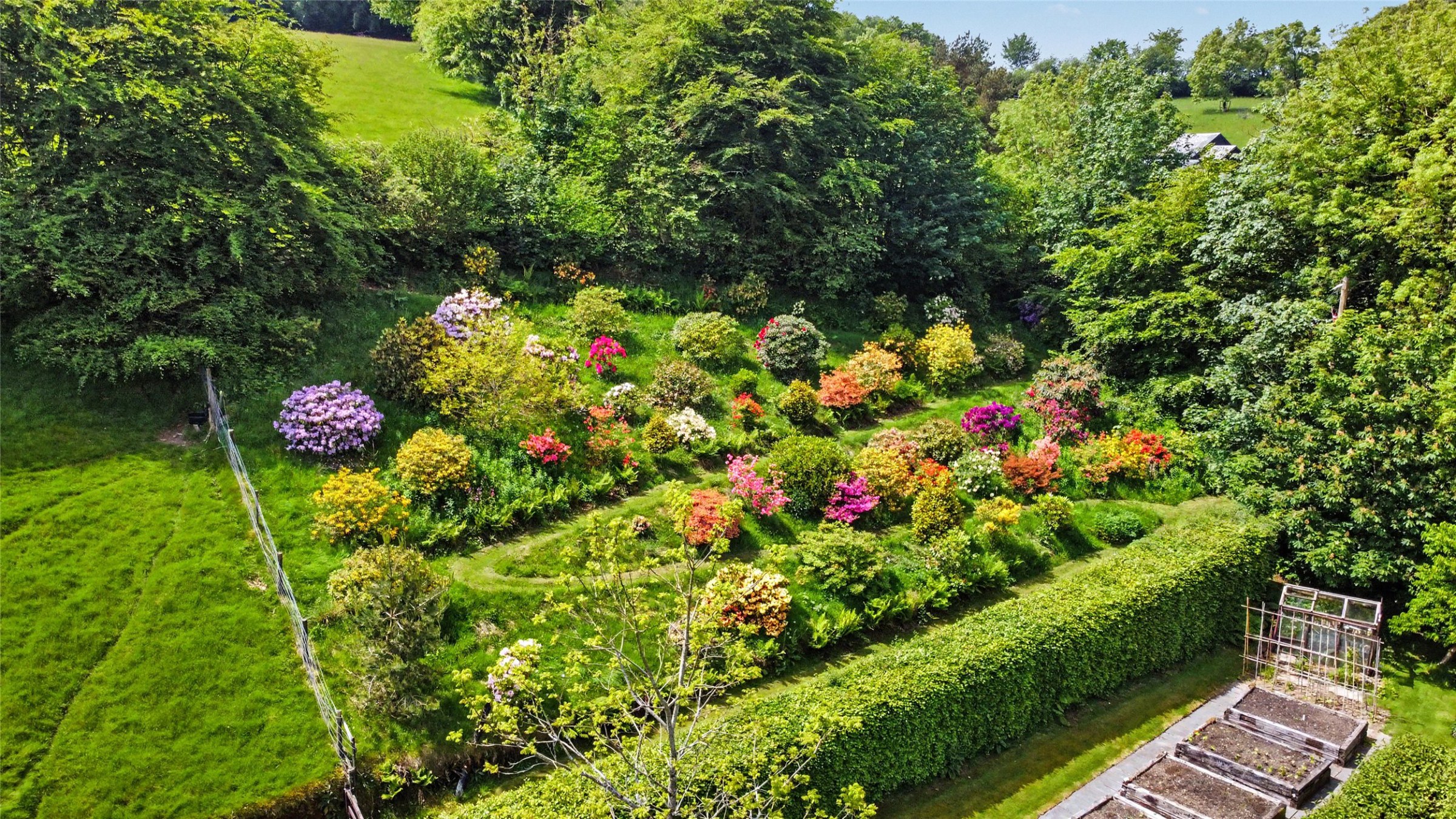 Photo 32