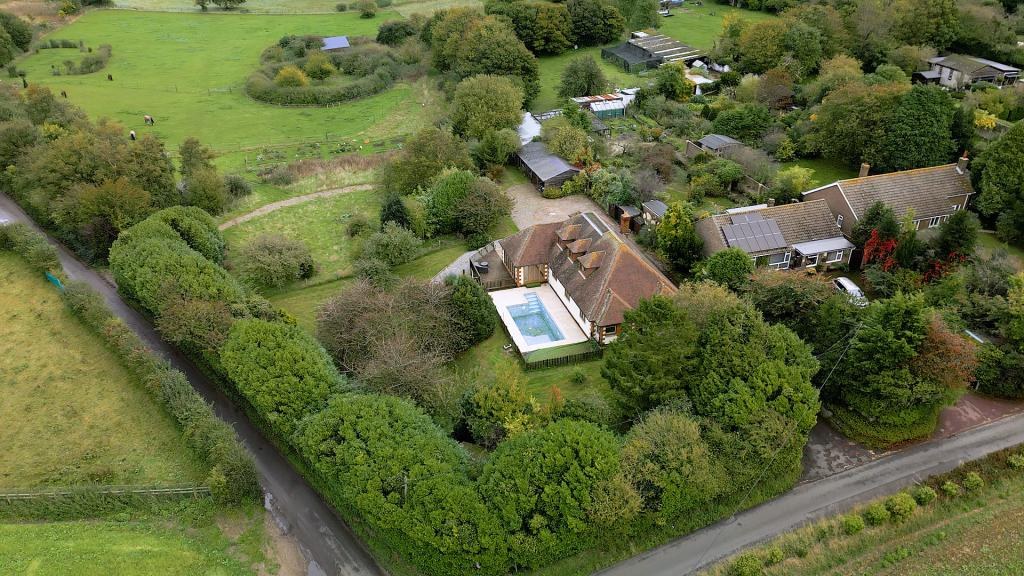 Hollands Hill