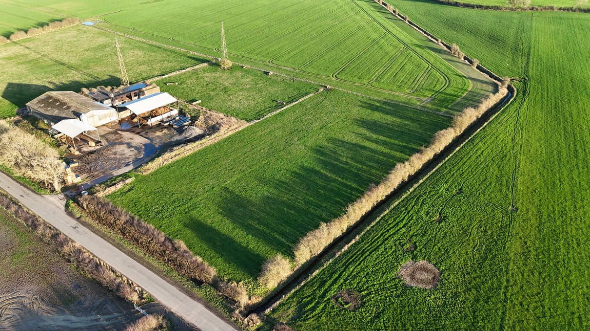 Lot 2: 2.57 Acres (1.04 Ha) Grass Paddock