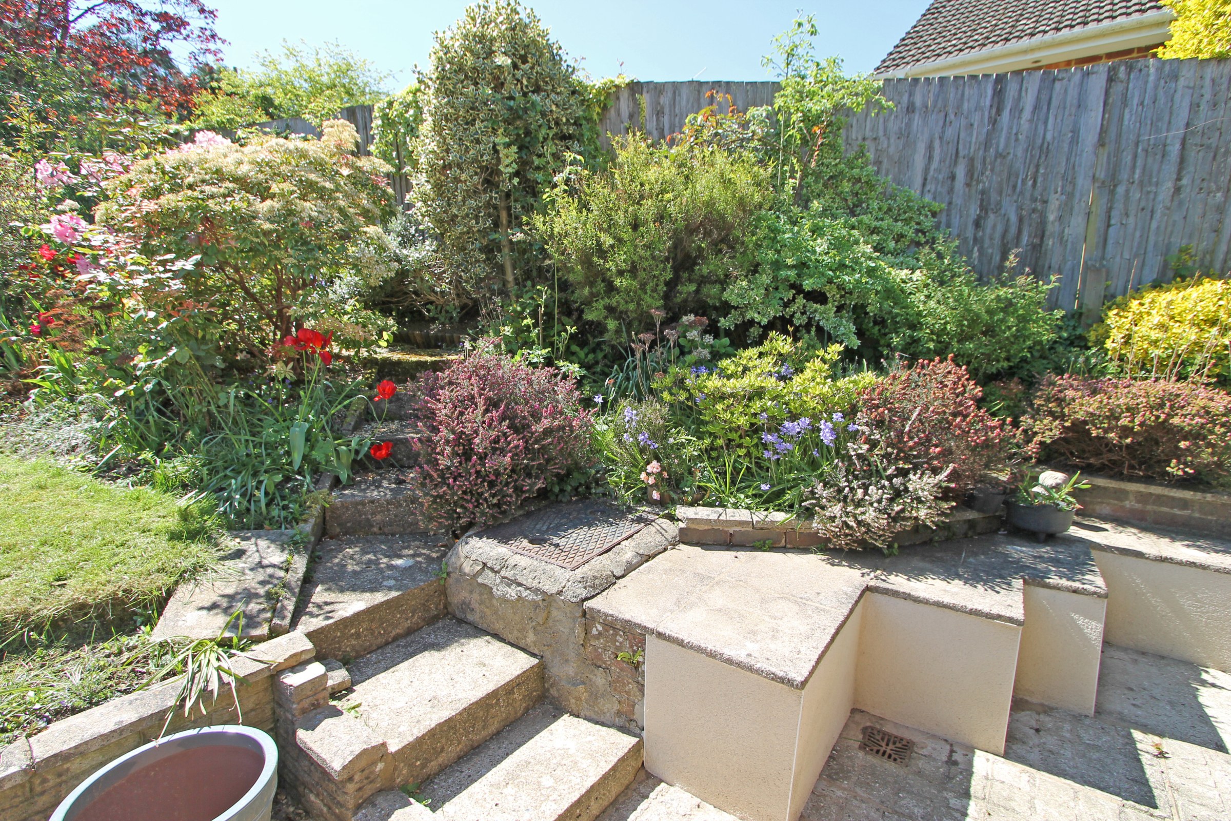 Photo 14