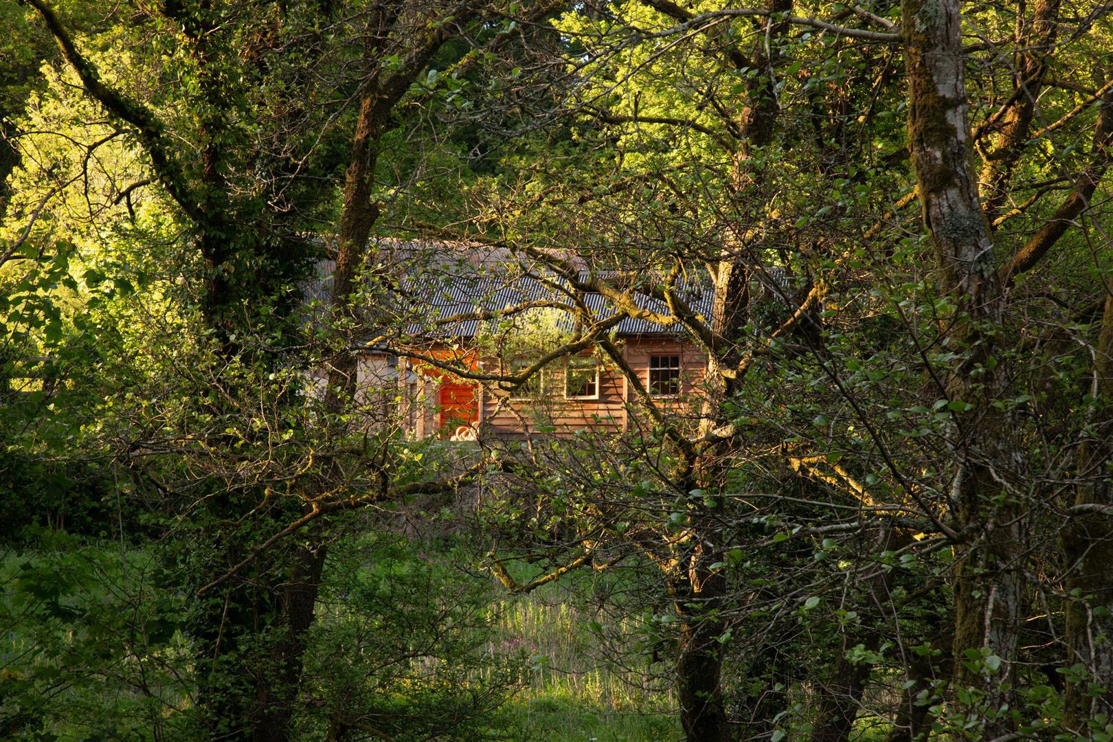 Login, Whitland, photo 41