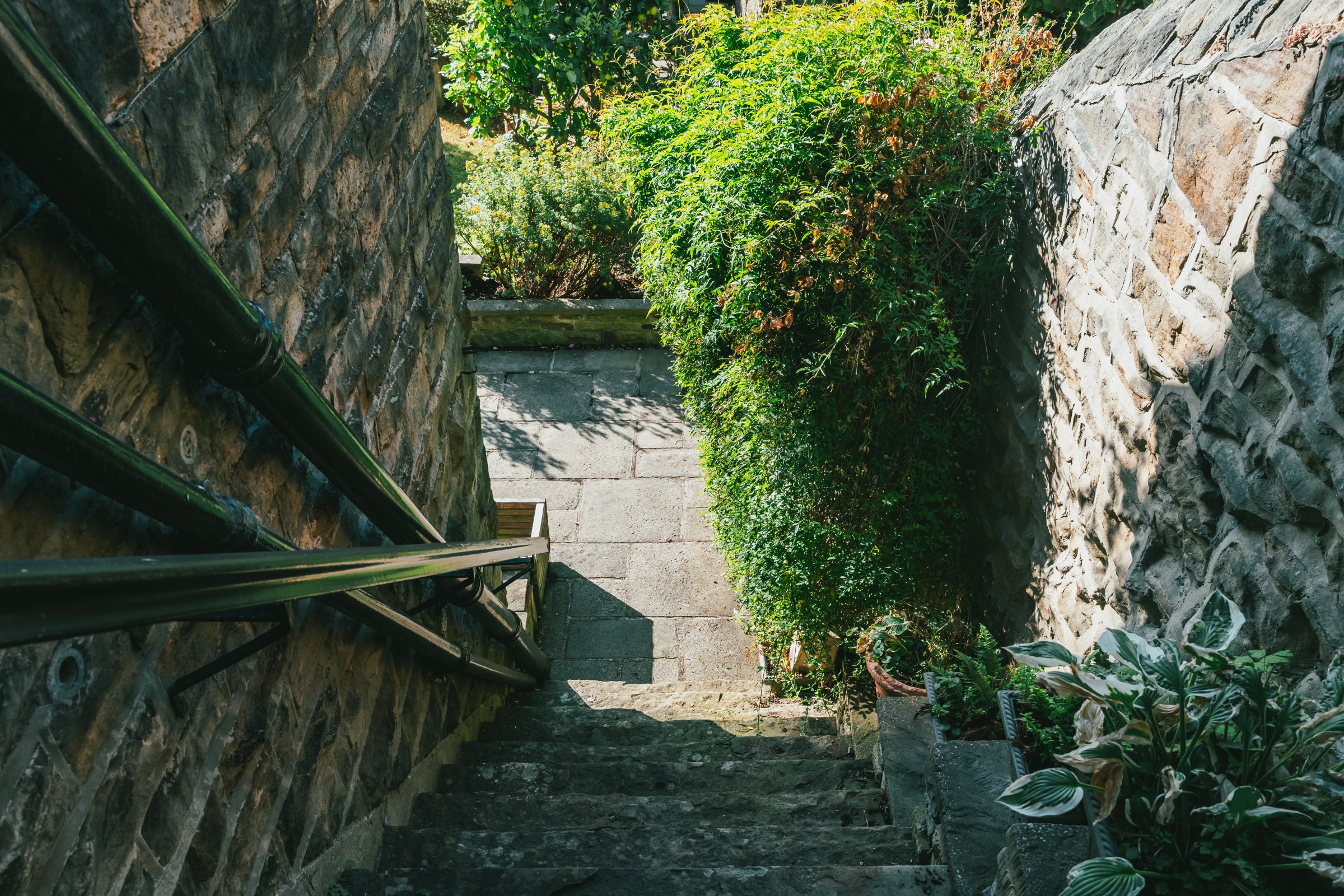 Photo 45