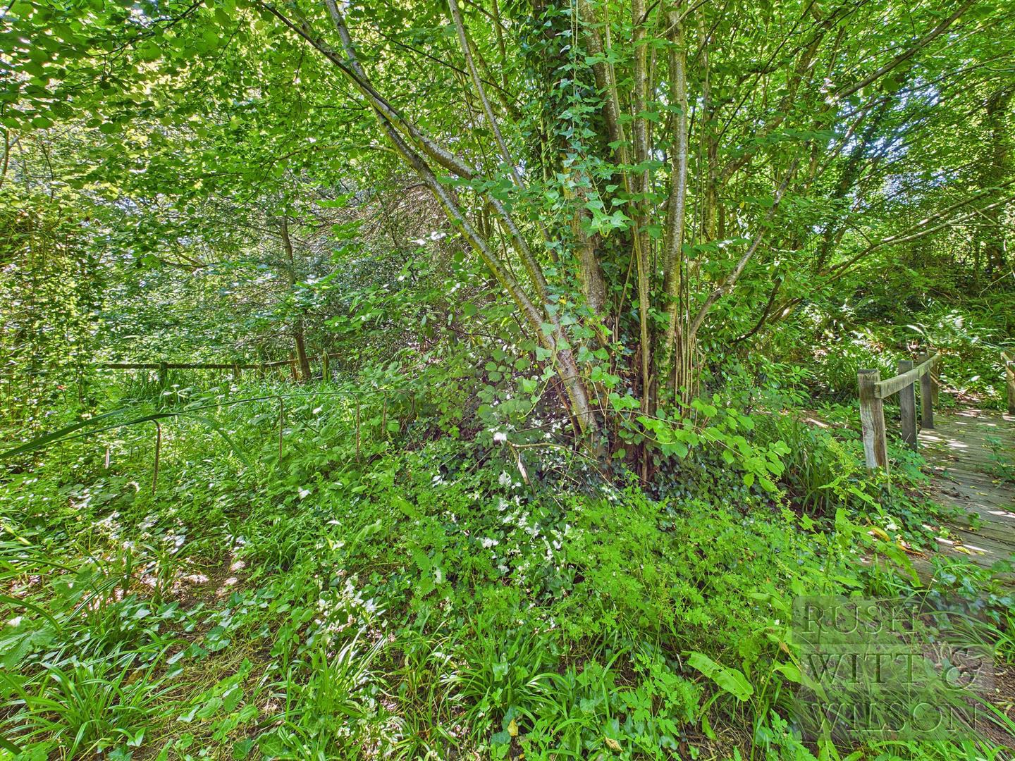 Station Road, Crowhurst, Battle, photo 17