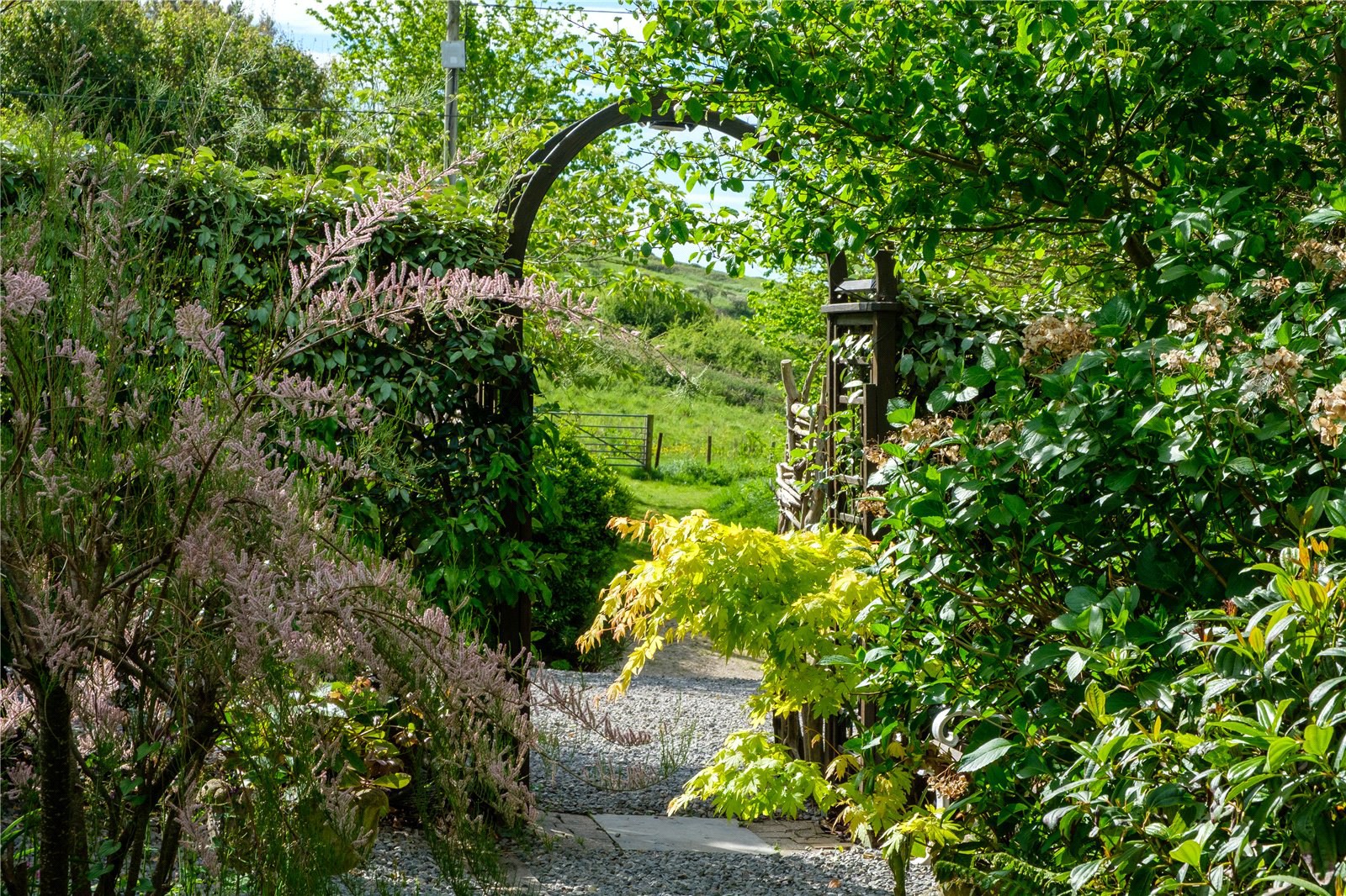 Eype, Bridport, Dorset, DT6, photo 72