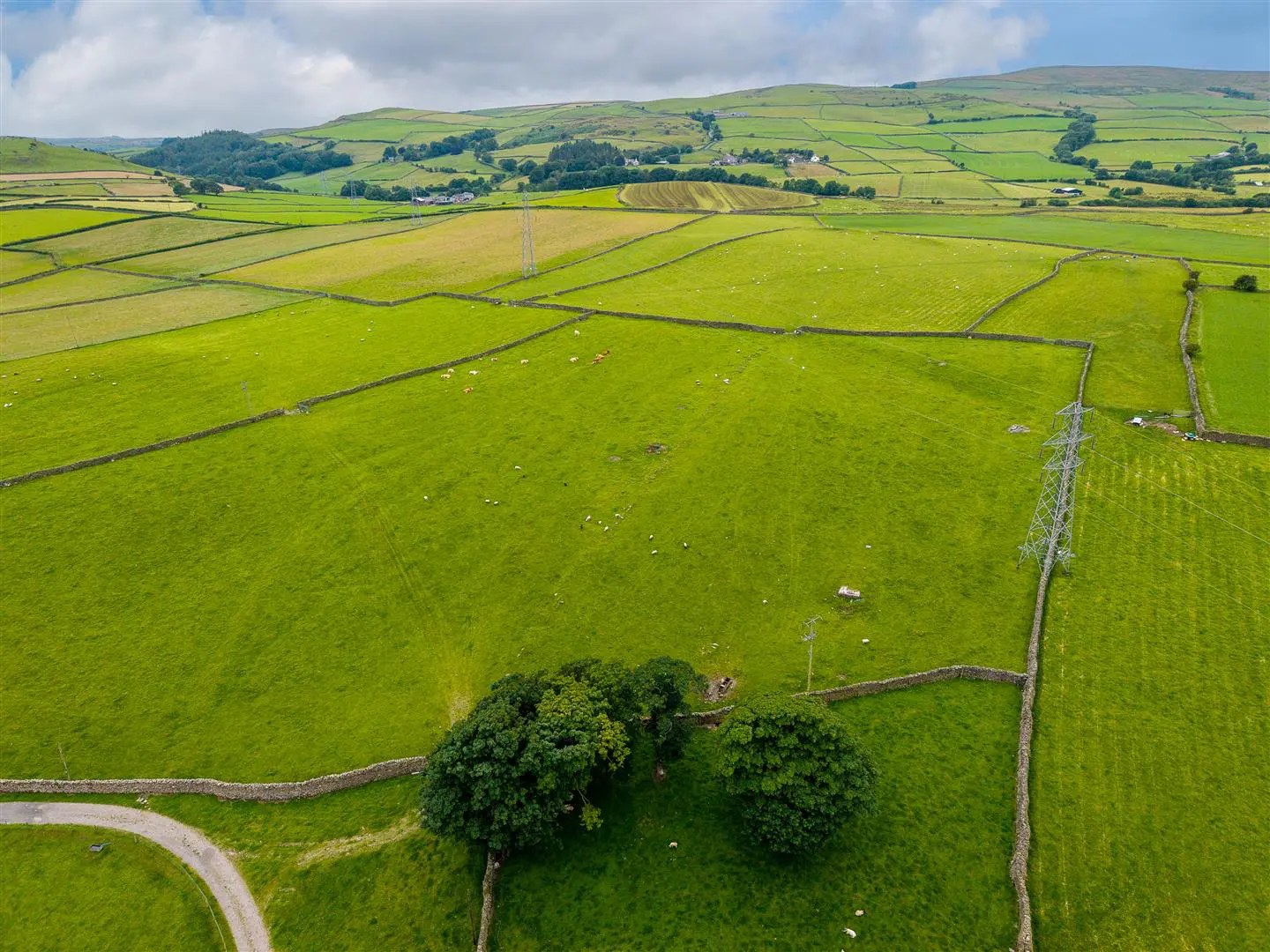 High Mansrigg Farm