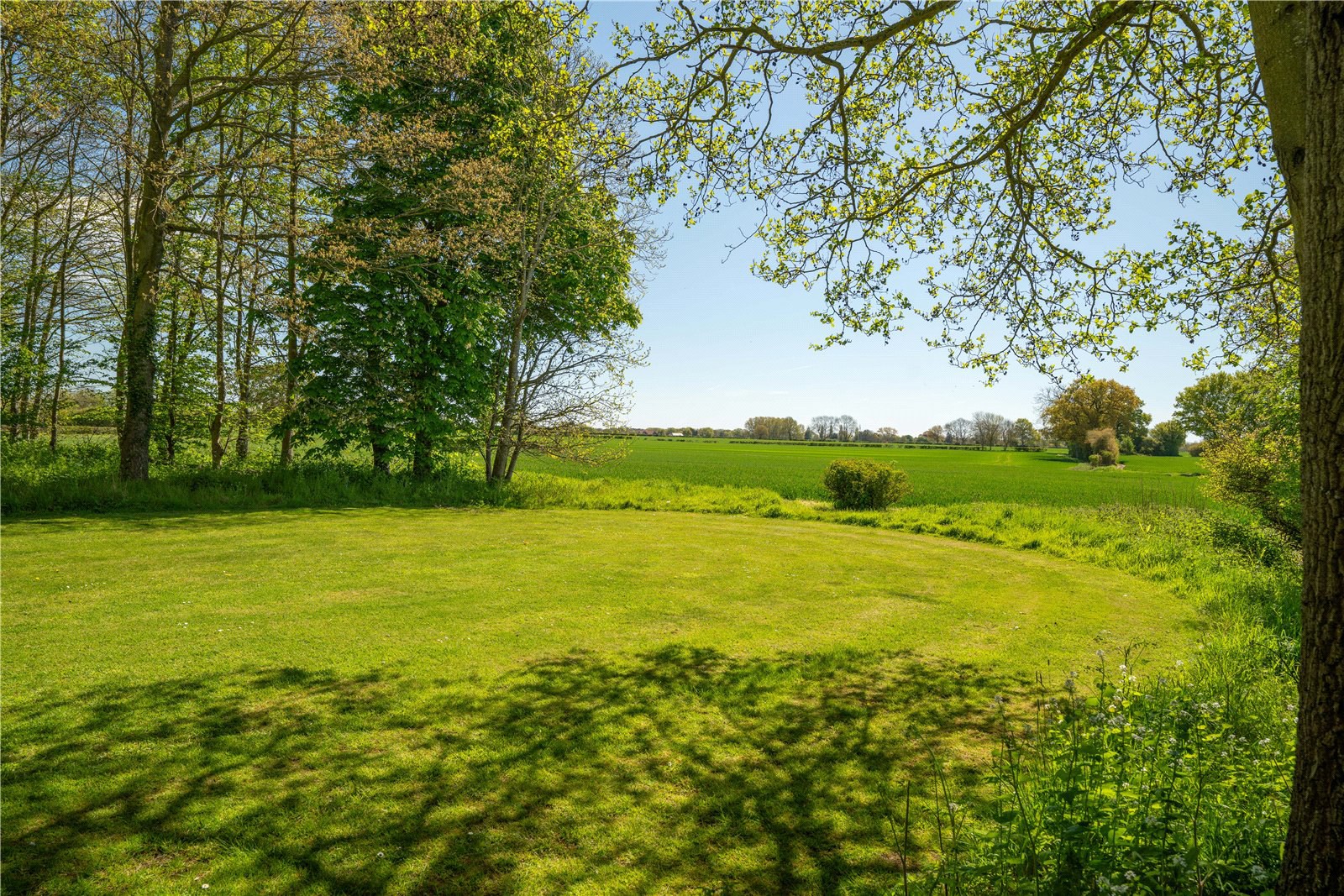 Washbrook, Ipswich, Suffolk, IP8, photo 25